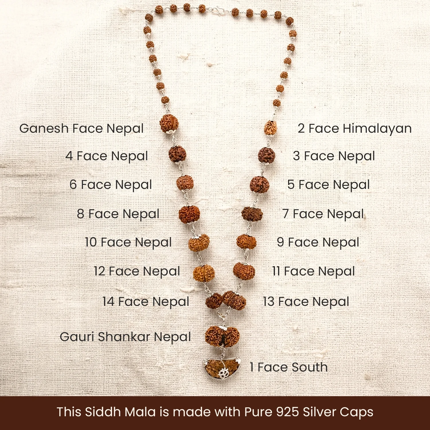 1-14 Mukhi Siddh Rudraksha Mala with Collector Beads - Image 3