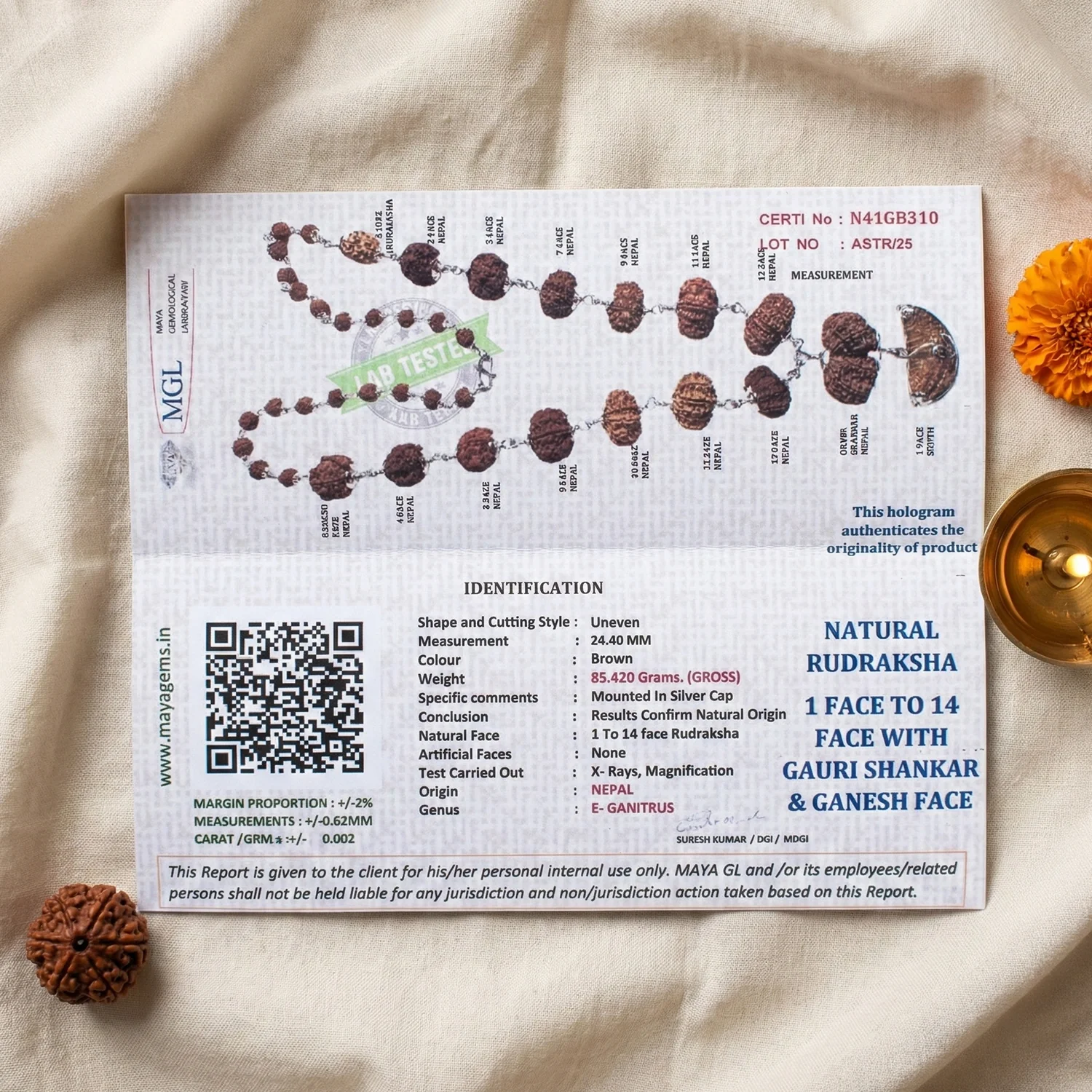 1-14 Mukhi Siddh Rudraksha Mala with Collector Beads - Image 5