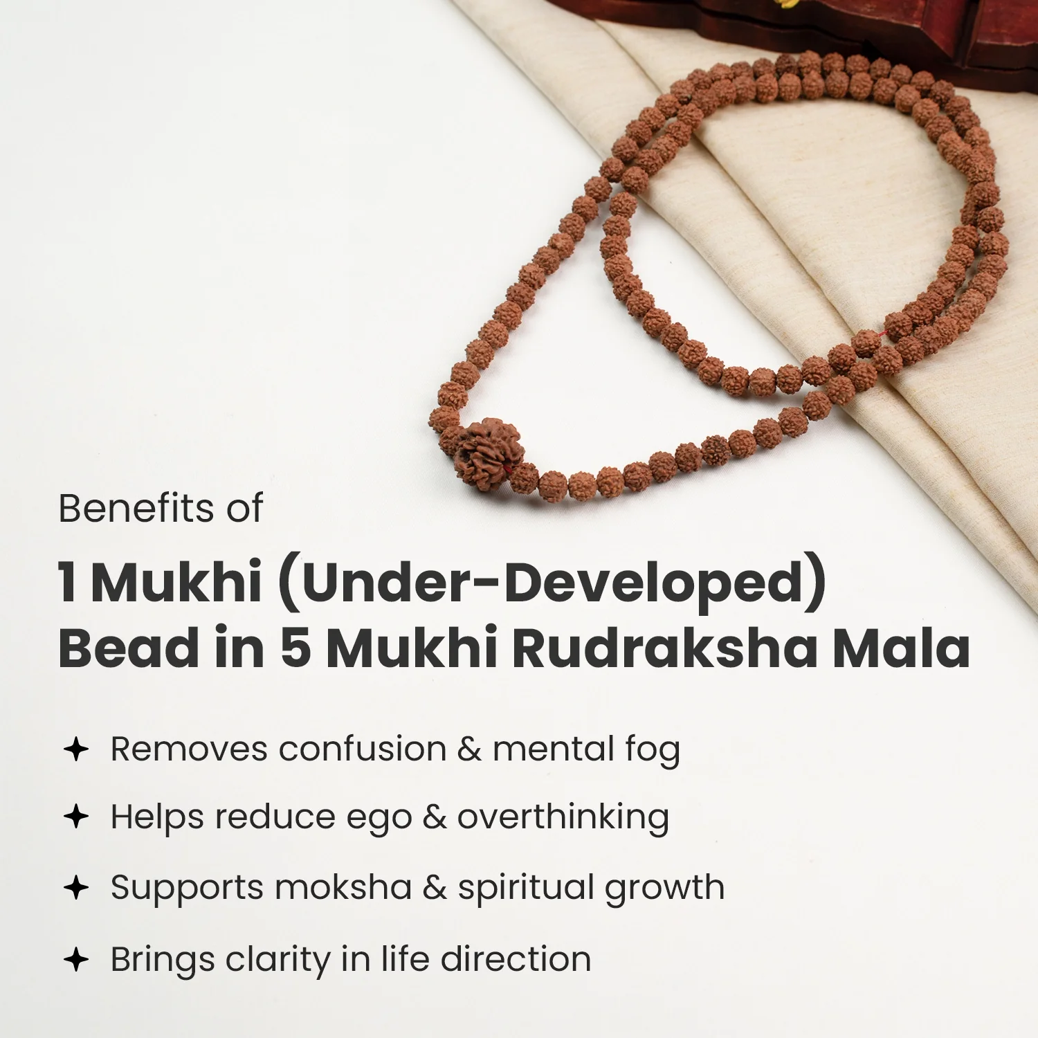 1 Mukhi (Under-Developed) Rudraksha Bead in 5 Mukhi Rudraksha Mala - Image 4