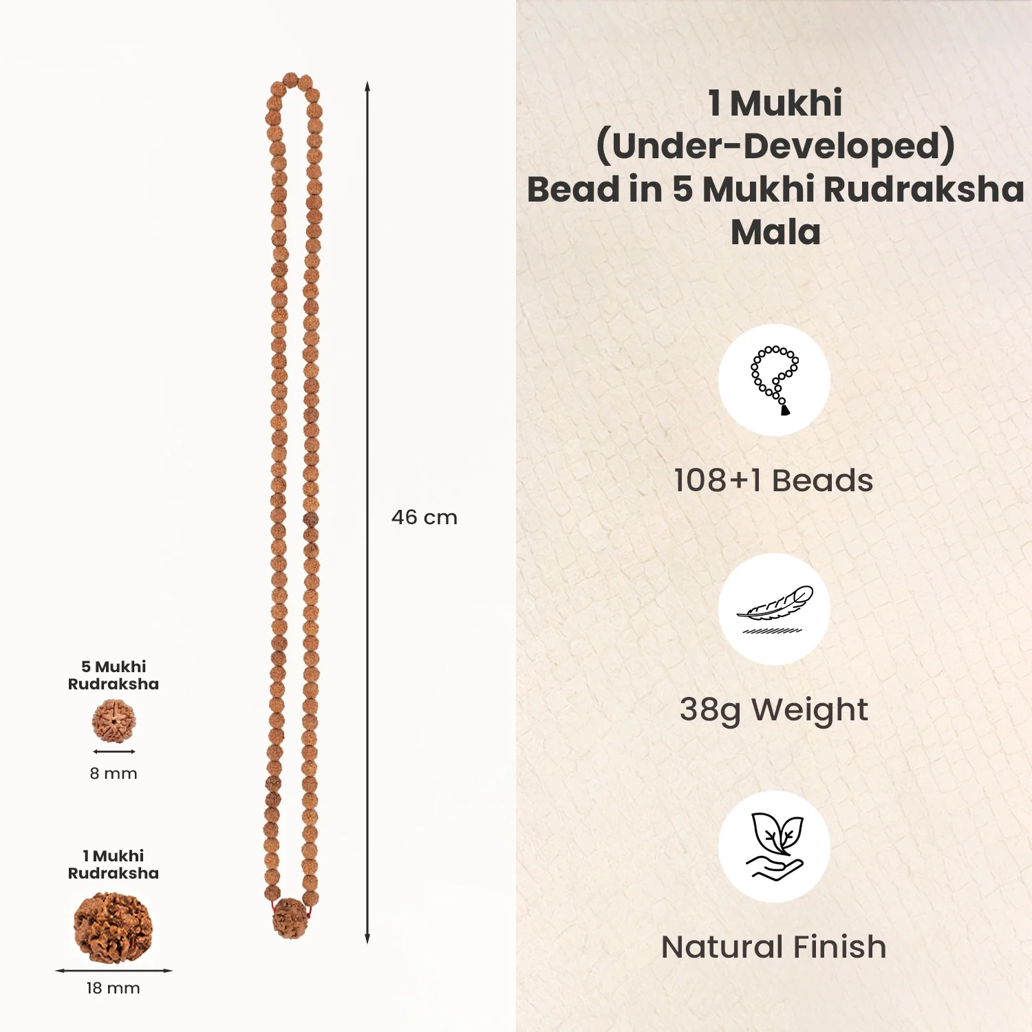 1 Mukhi (Under-Developed) Rudraksha Bead in 5 Mukhi Rudraksha Mala - Image 5