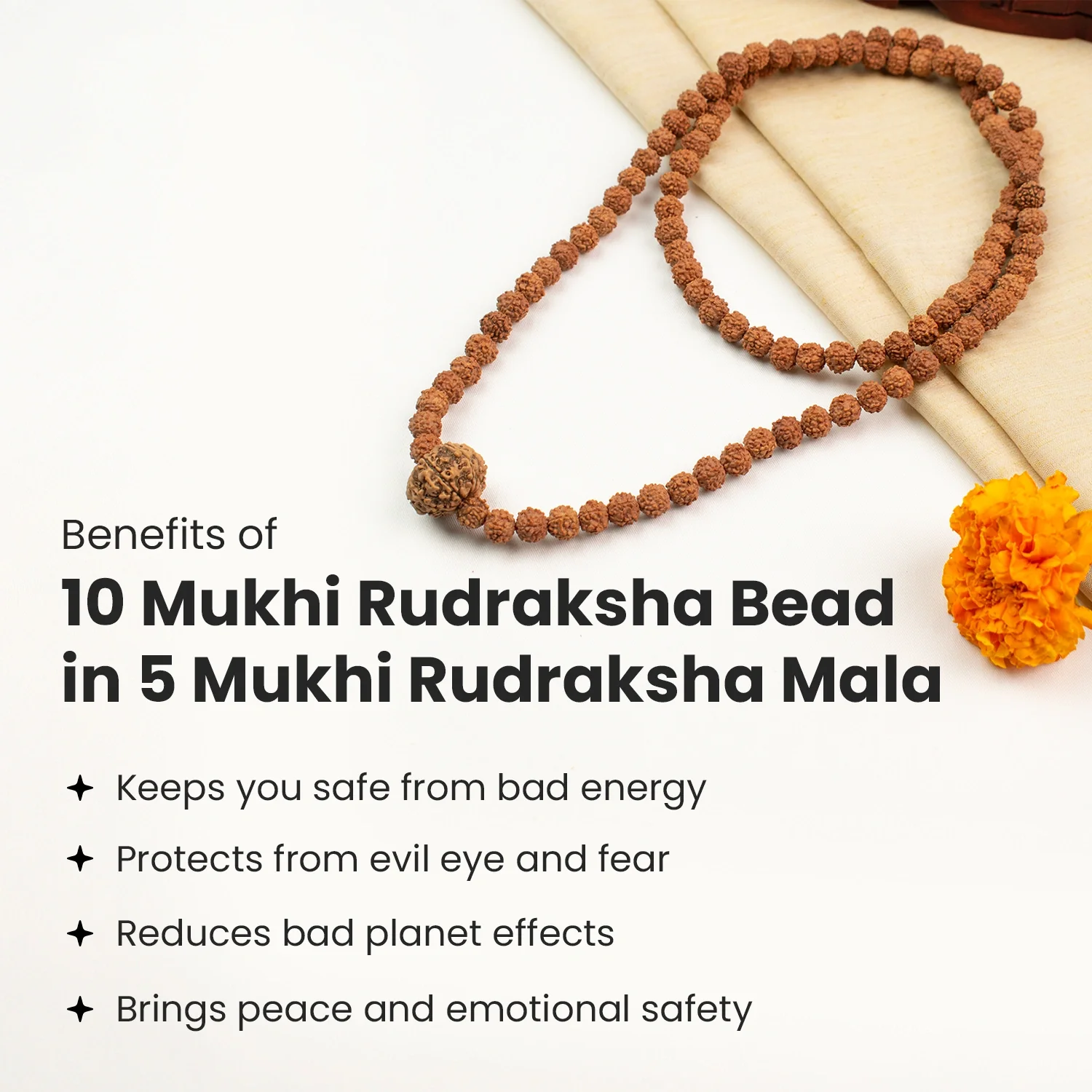 10 Mukhi Rudraksha Bead in 5 Mukhi Rudraksha Mala - Image 4