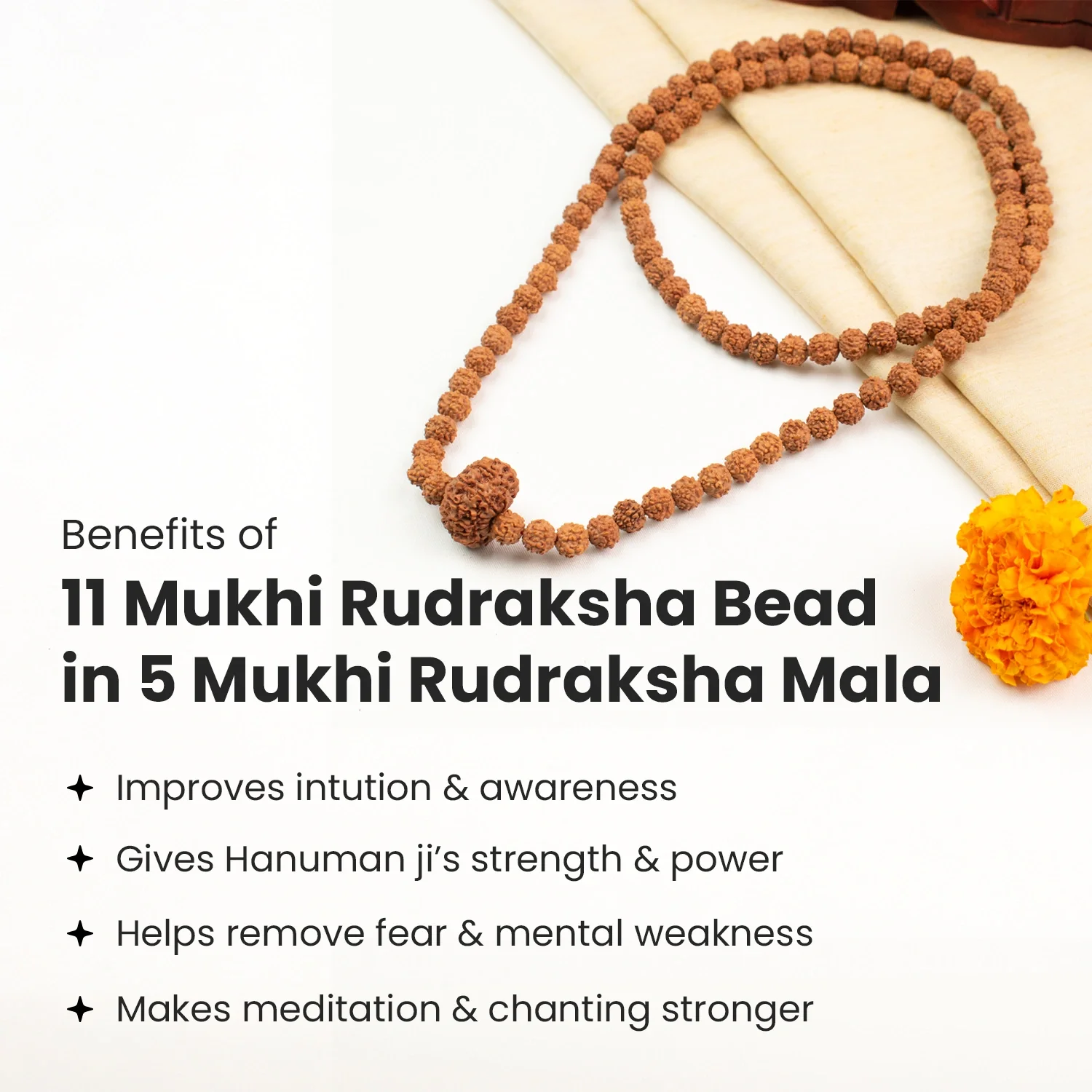11 Mukhi Rudraksha Bead in 5 Mukhi Rudraksha Mala - Image 4