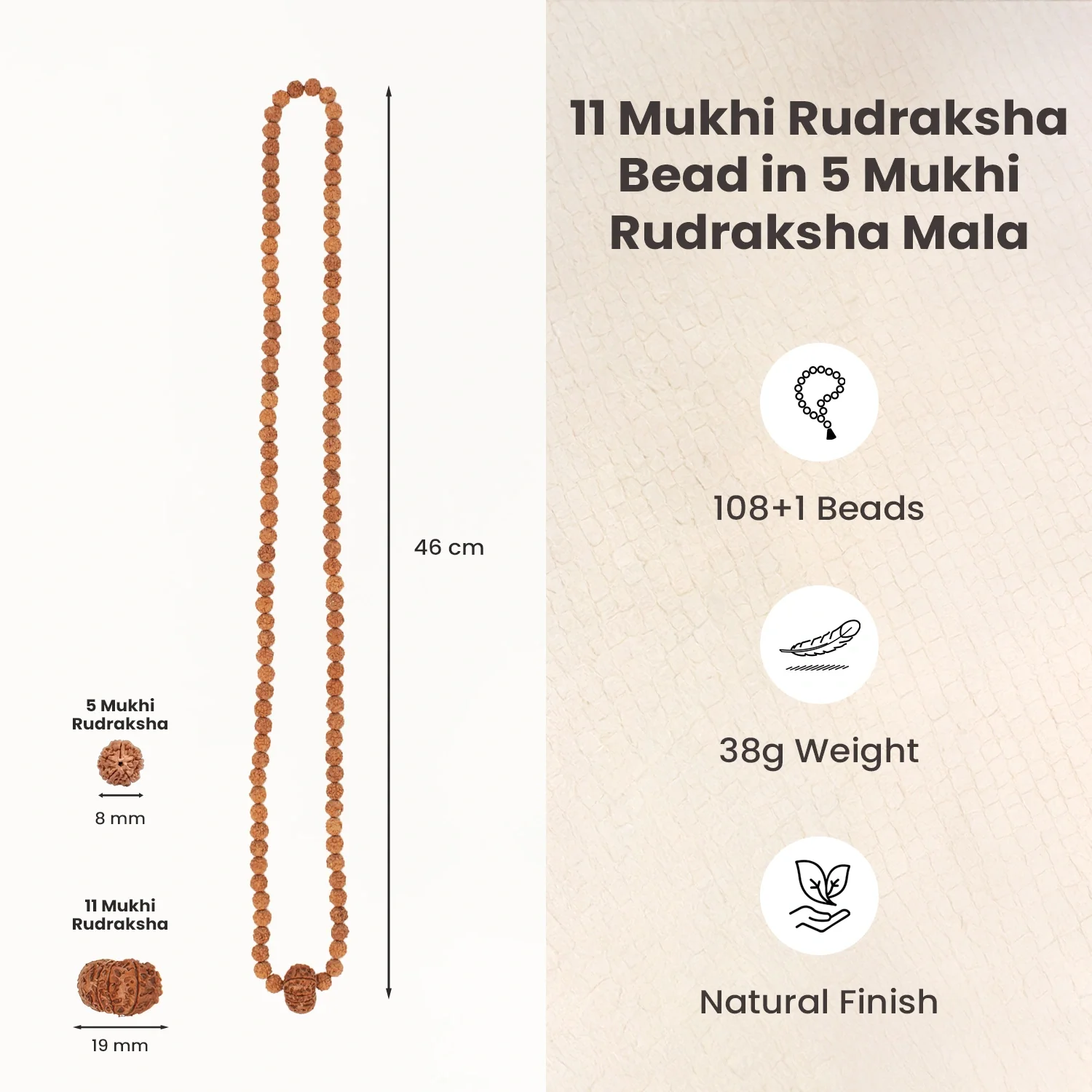 11 Mukhi Rudraksha Bead in 5 Mukhi Rudraksha Mala - Image 6