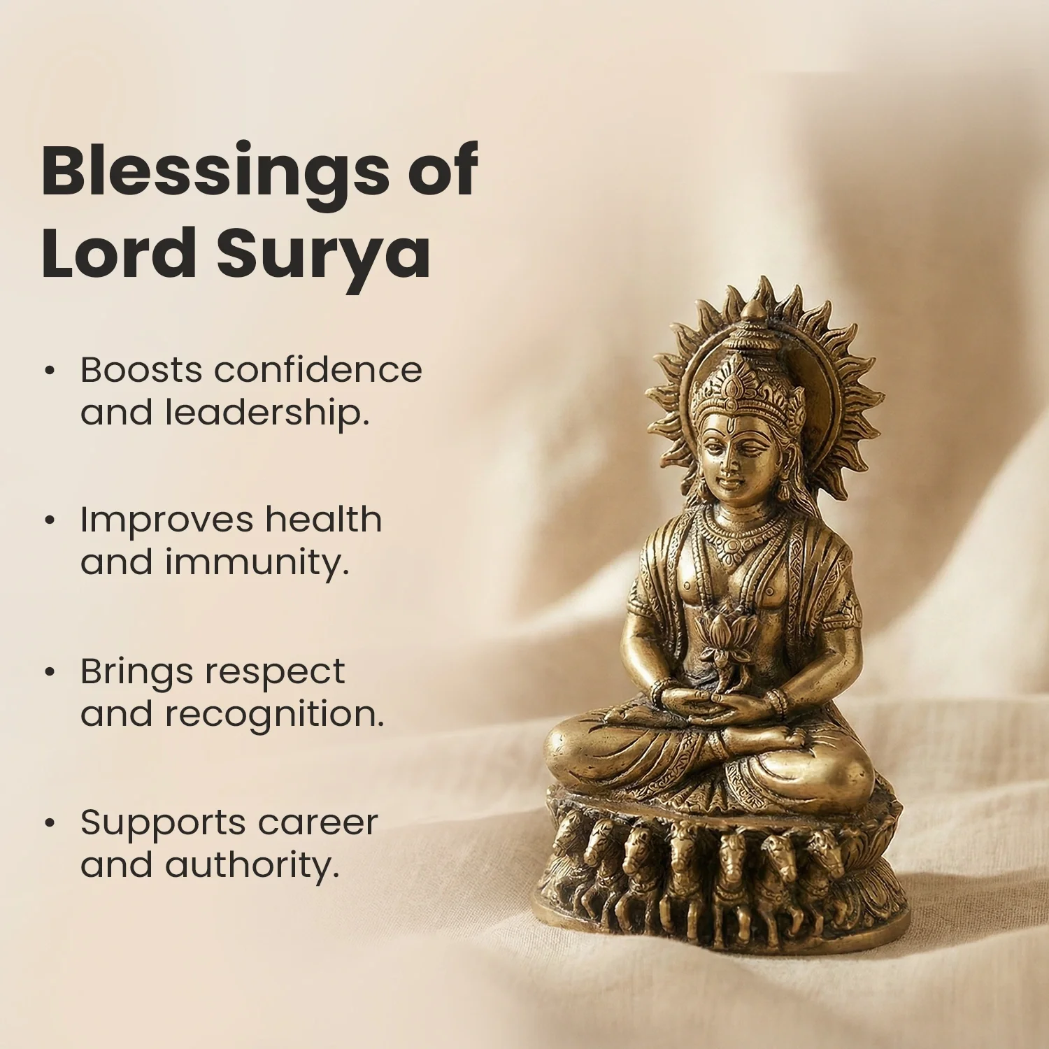 12 Mukhi Rudraksha Bead in 5 Mukhi Rudraksha Mala - Image 5