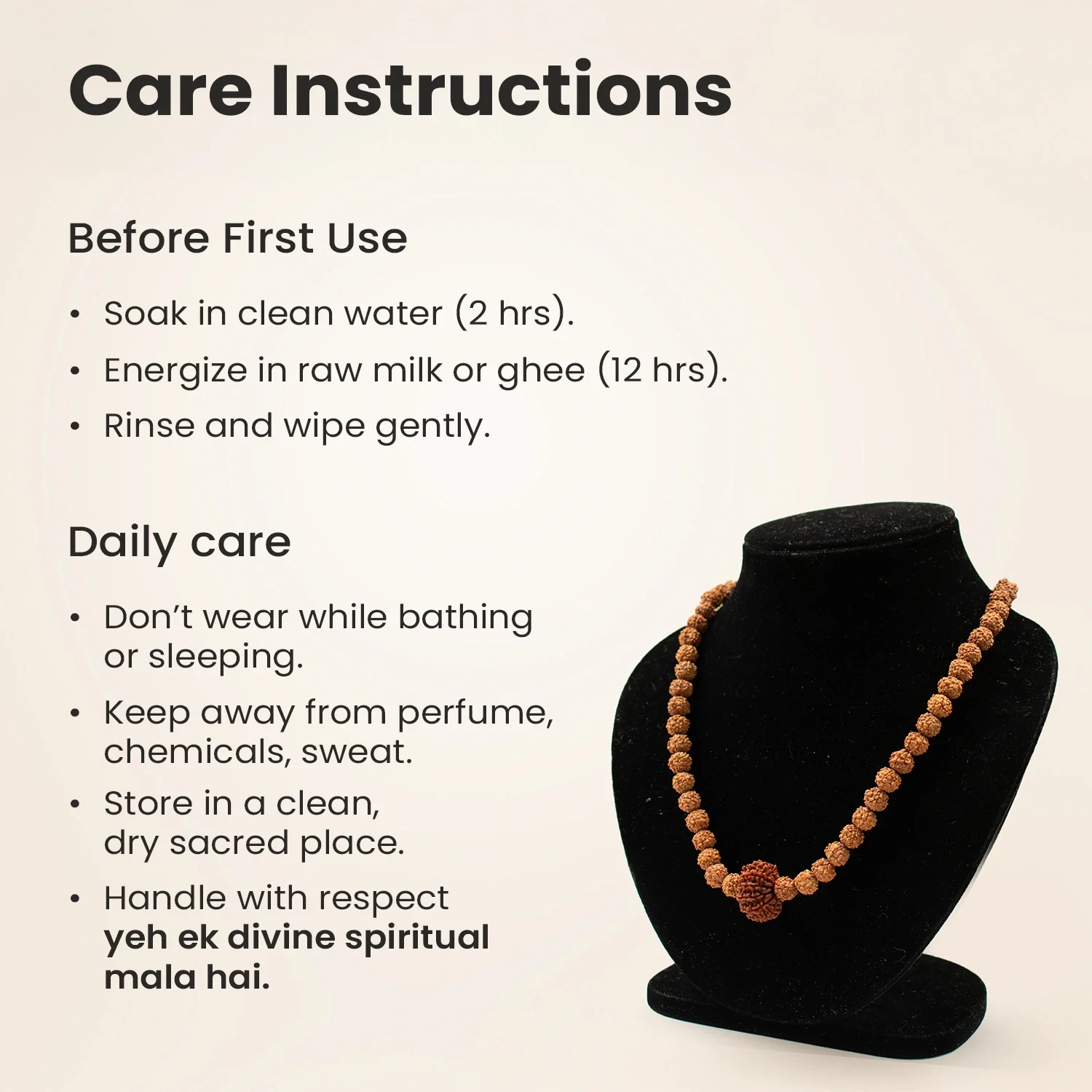 12 Mukhi Rudraksha Bead in 5 Mukhi Rudraksha Mala - Image 9
