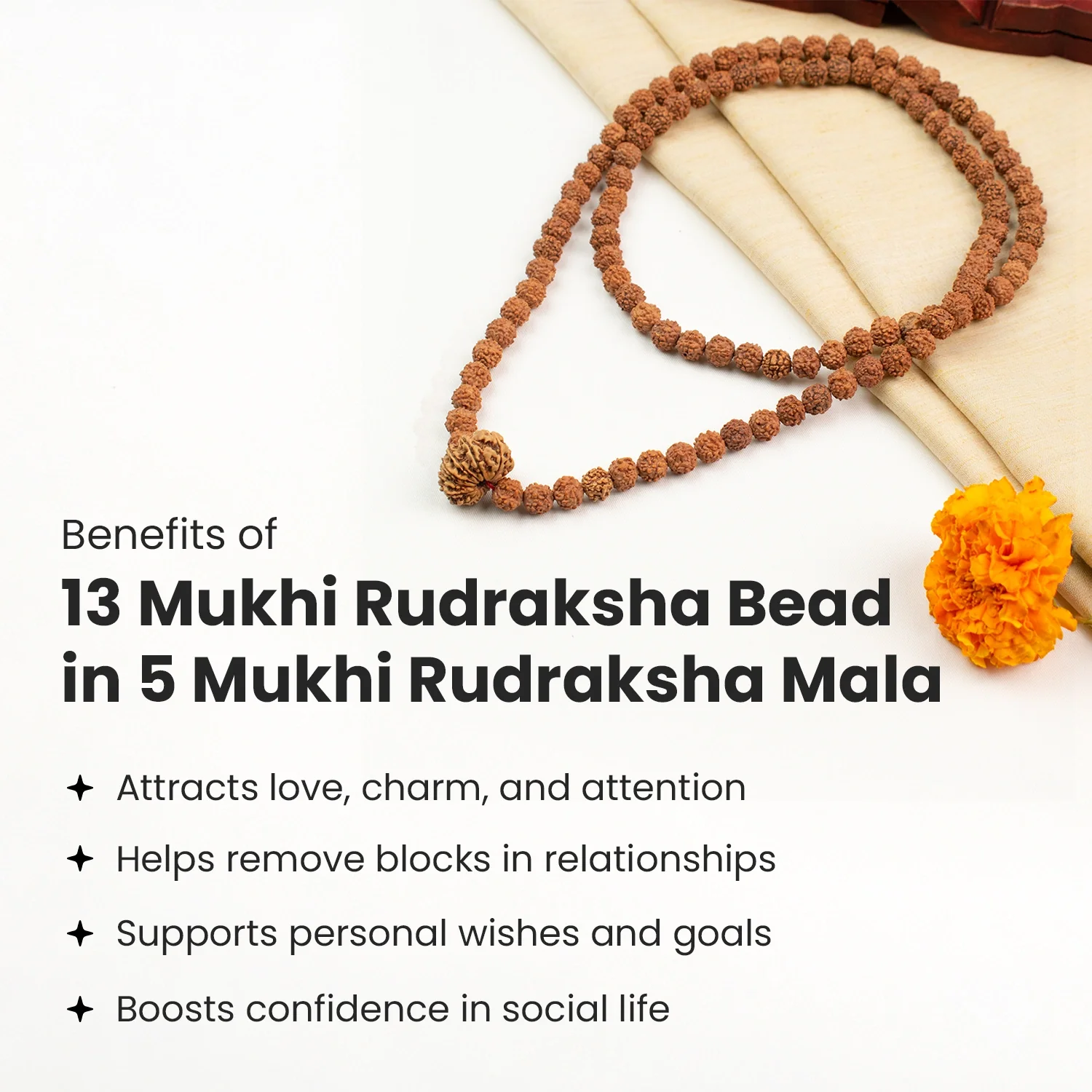 13 Mukhi Rudraksha Bead in 5 Mukhi Rudraksha Mala - Image 4