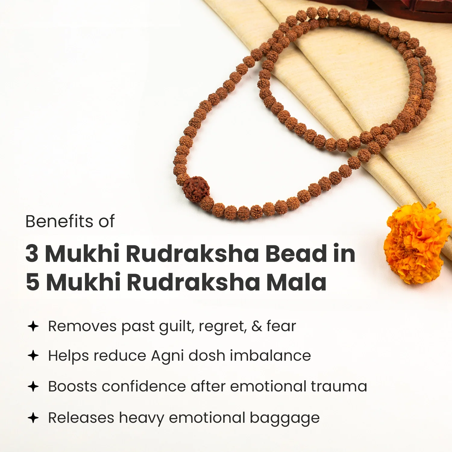 3 Mukhi Rudraksha Bead in 5 Mukhi Rudraksha Mala - Image 4