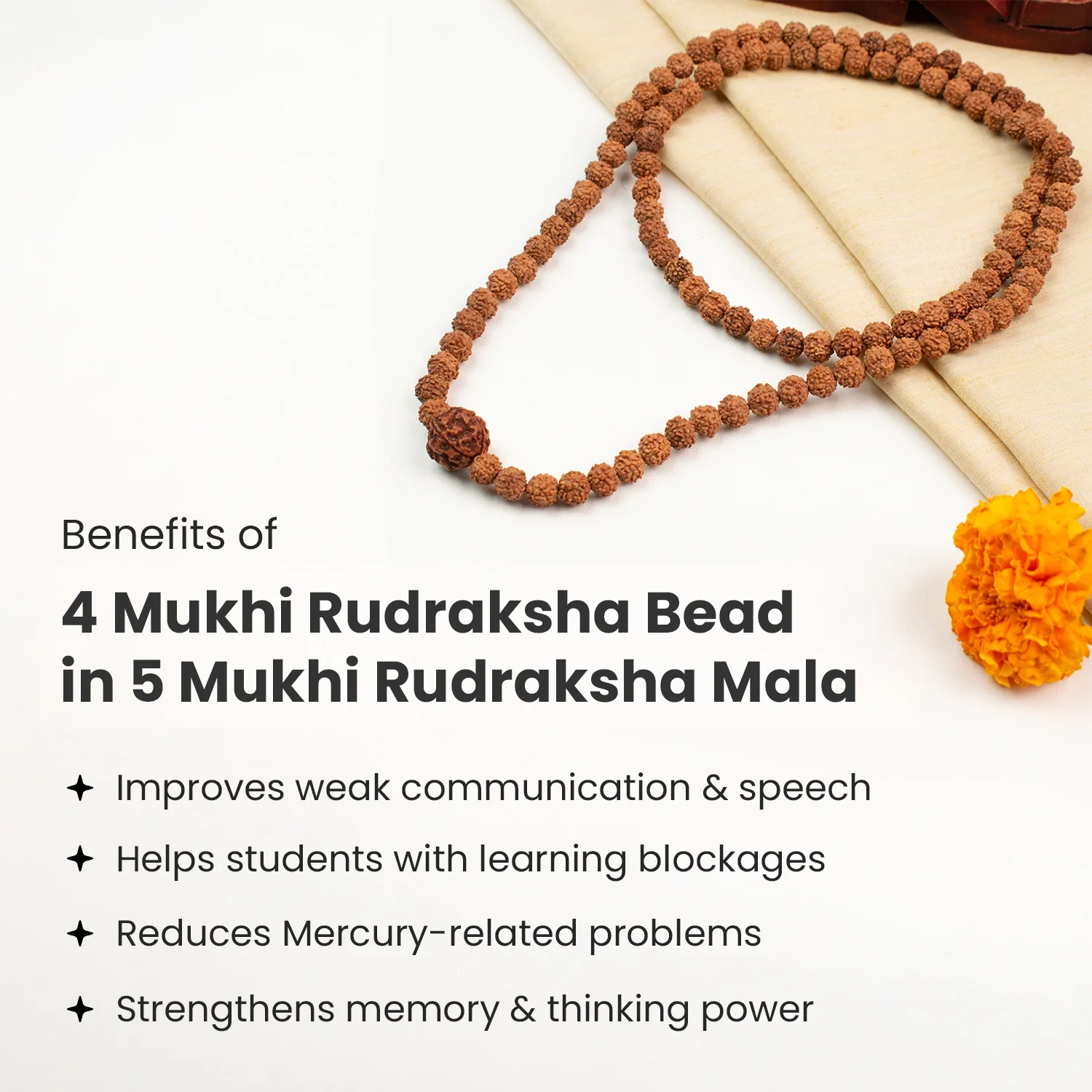 4 Mukhi Rudraksha Bead in 5 Mukhi Rudraksha Mala - Image 4
