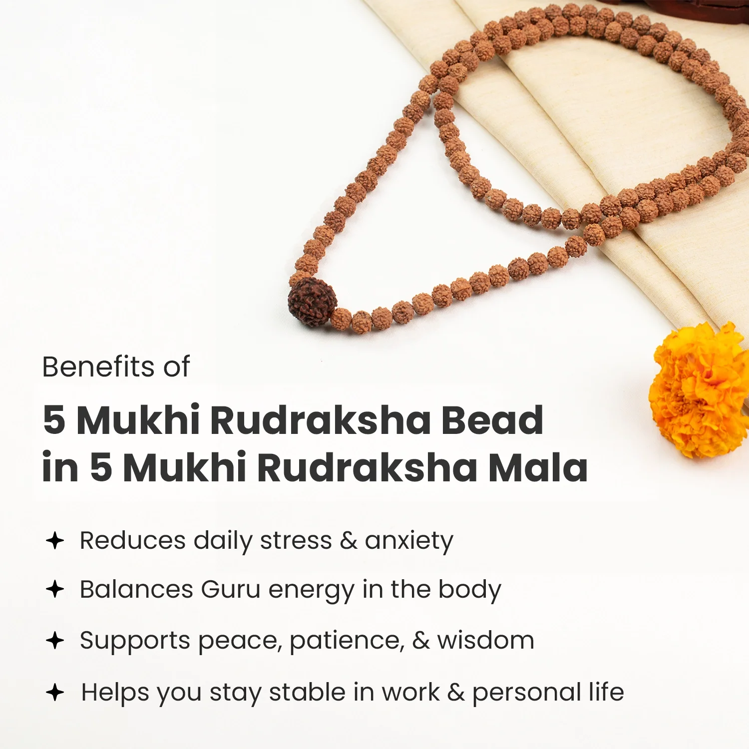 5 Mukhi Rudraksha Bead in 5 Mukhi Rudraksha Mala - Image 4