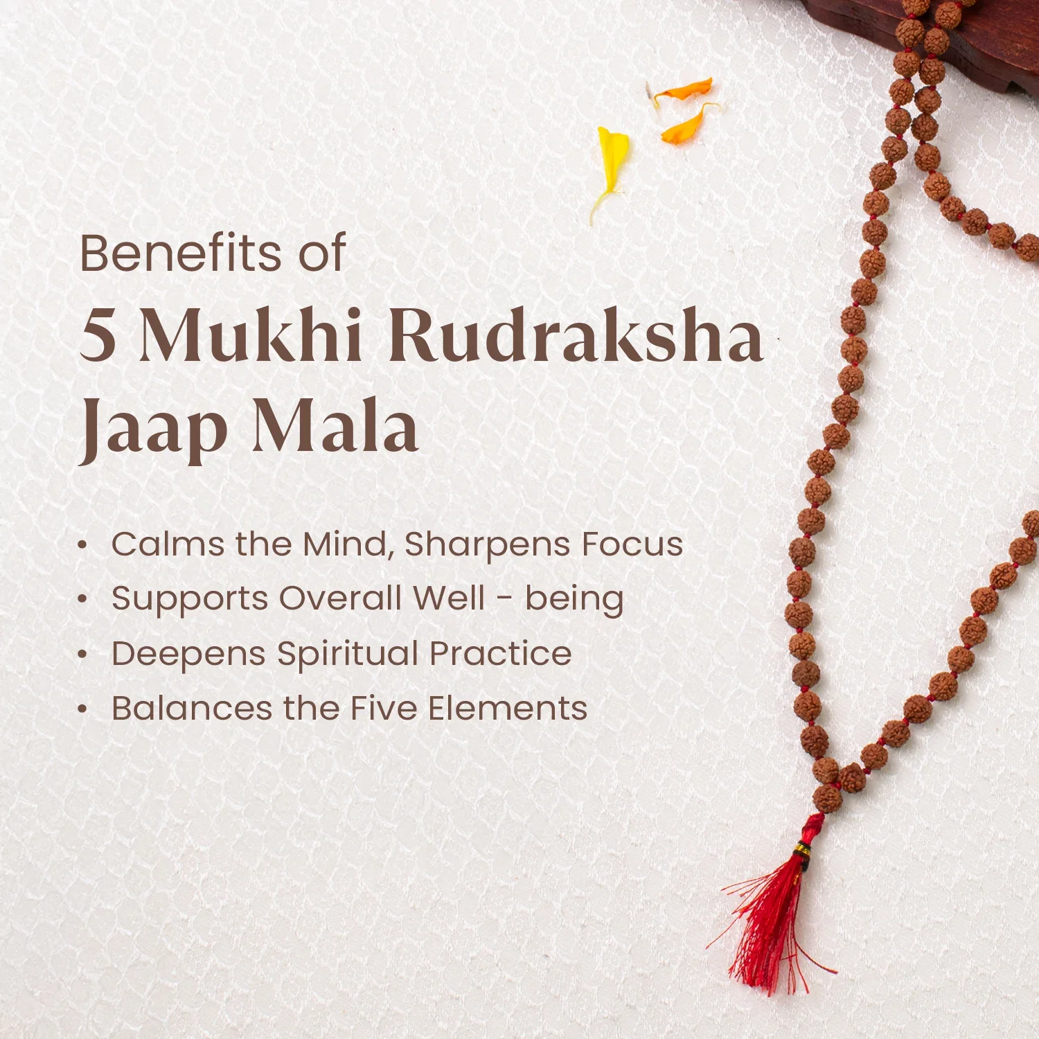 5 Mukhi Rudraksha Mala - 7mm, 108+1 beads - Image 2
