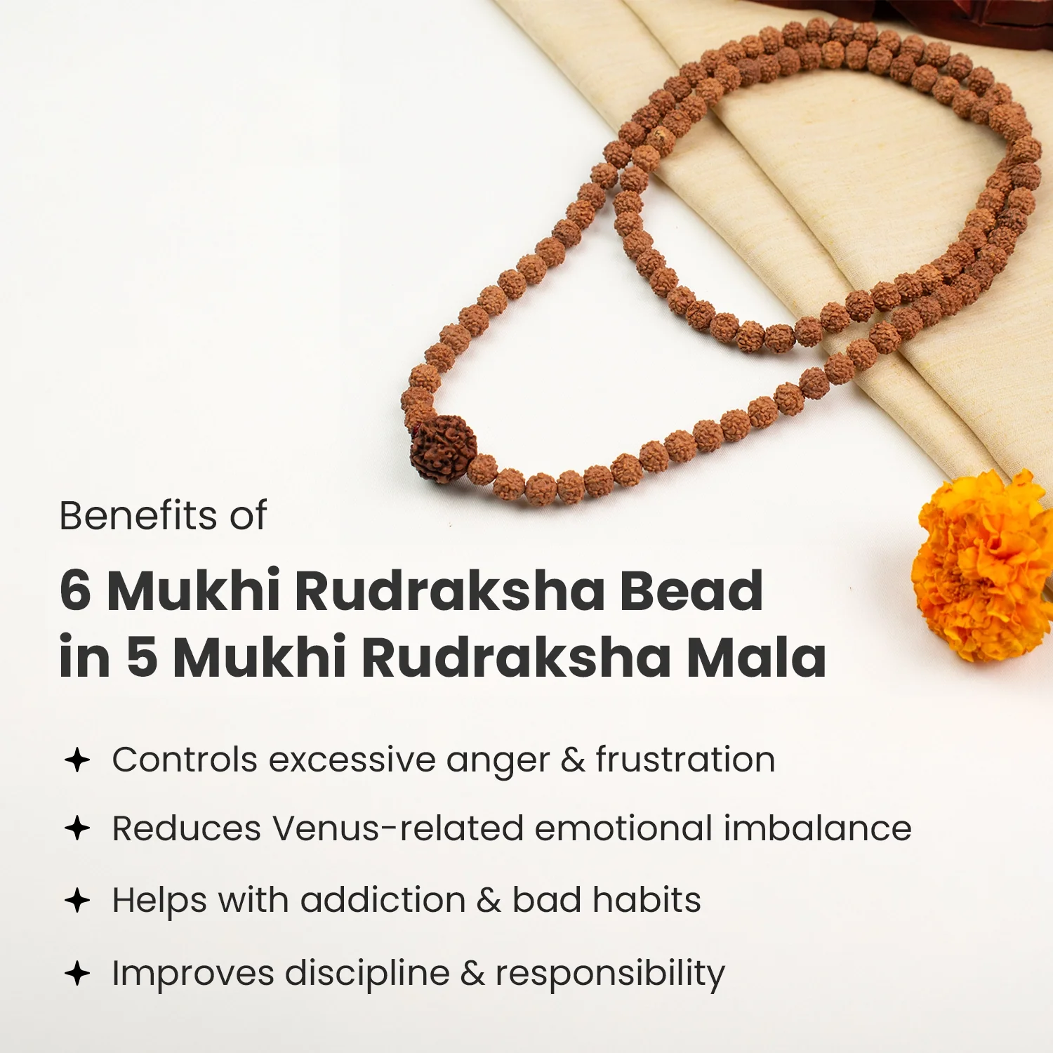 6 Mukhi Rudraksha Bead in 5 Mukhi Rudraksha Mala - Image 4