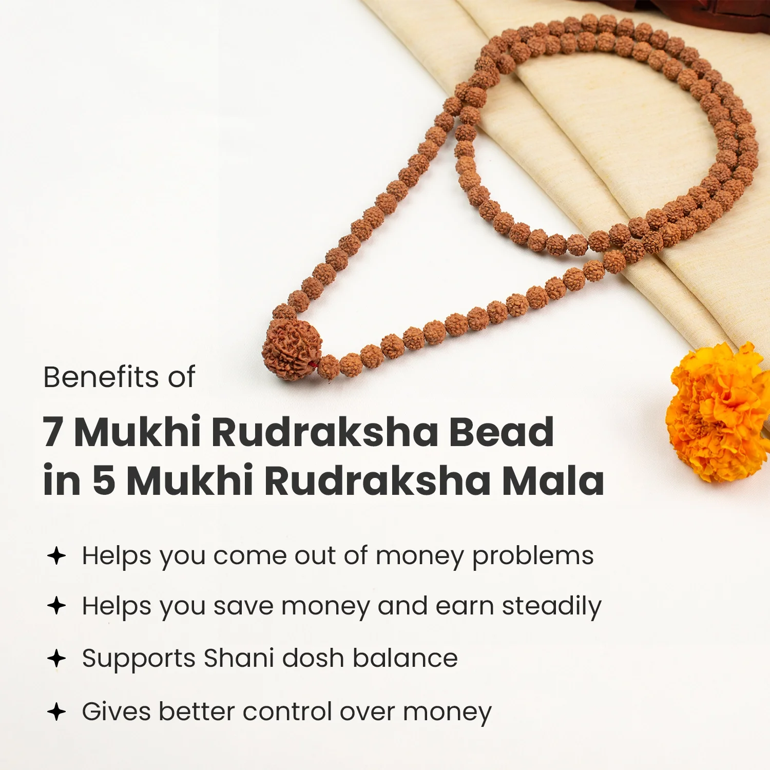 7 Mukhi Rudraksha Bead in 5 Mukhi Rudraksha Mala - Image 4