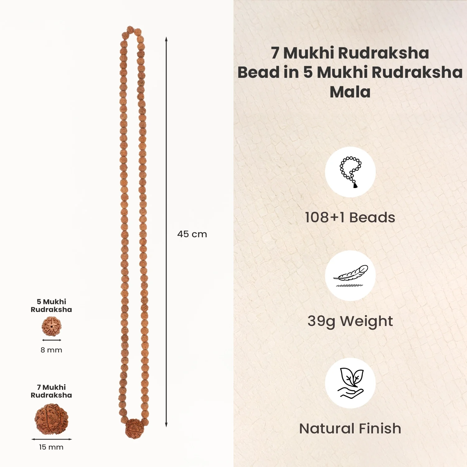 7 Mukhi Rudraksha Bead in 5 Mukhi Rudraksha Mala - Image 6