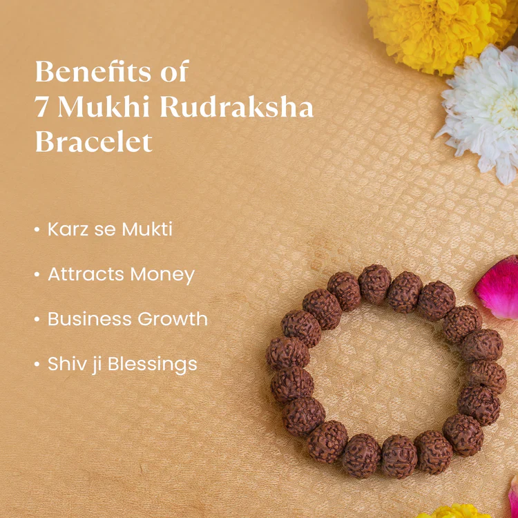 7 Mukhi Rudraksha Combo - Image 3