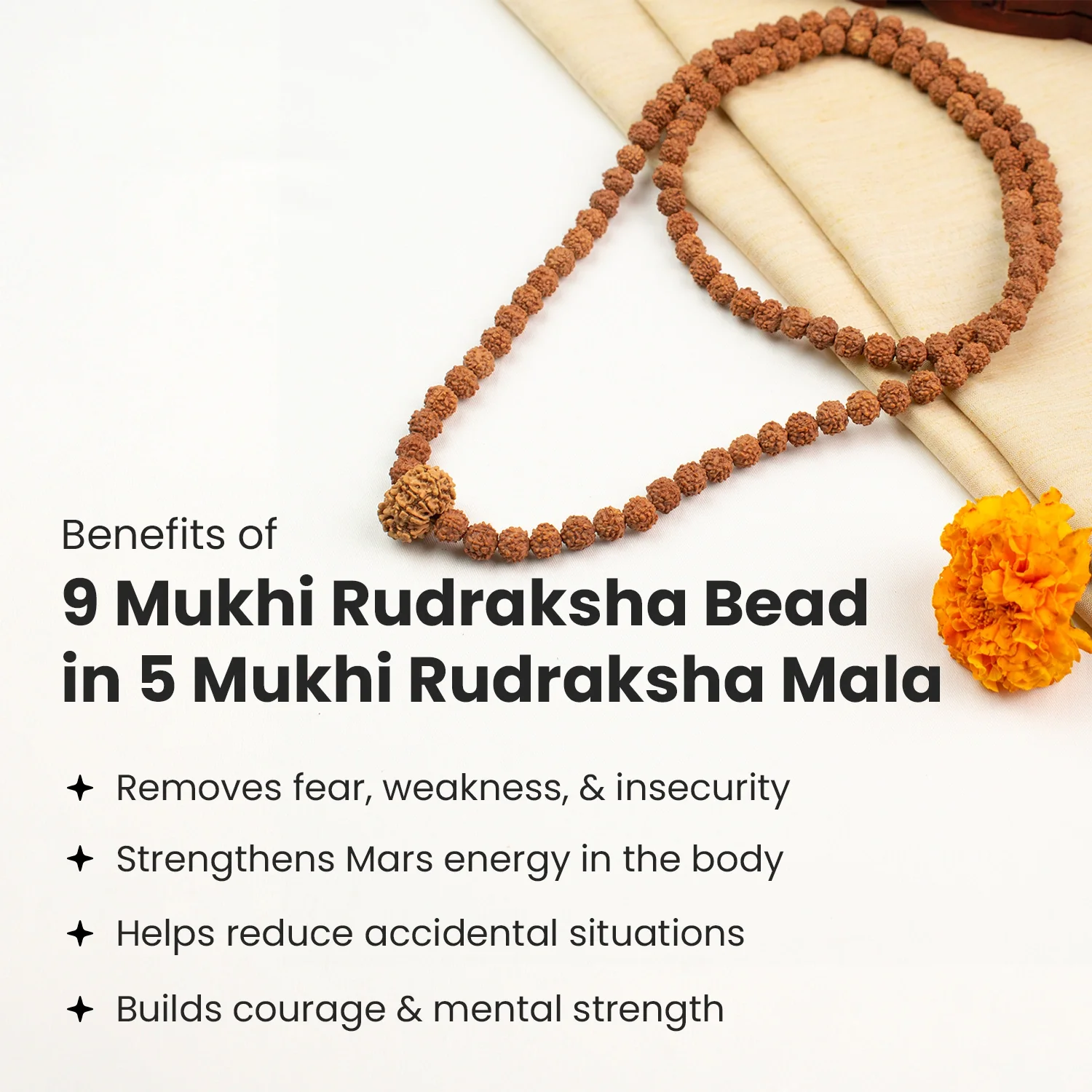 9 Mukhi  Rudraksha Bead in 5 Mukhi Rudraksha Mala - Image 4