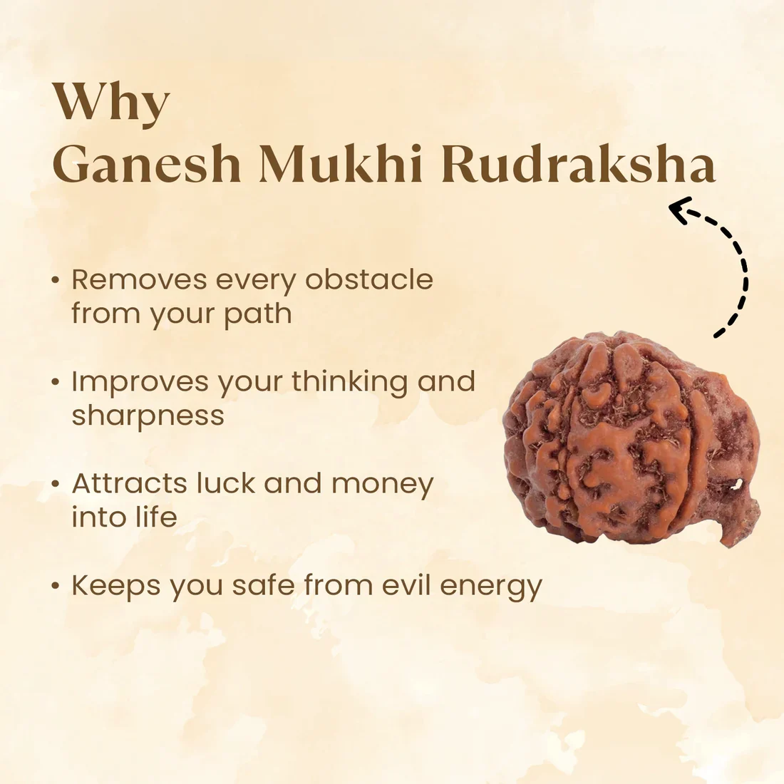 Pyrite Ganesh Ji Murti with Ganesh Mukhi Rudraksha - Image 2