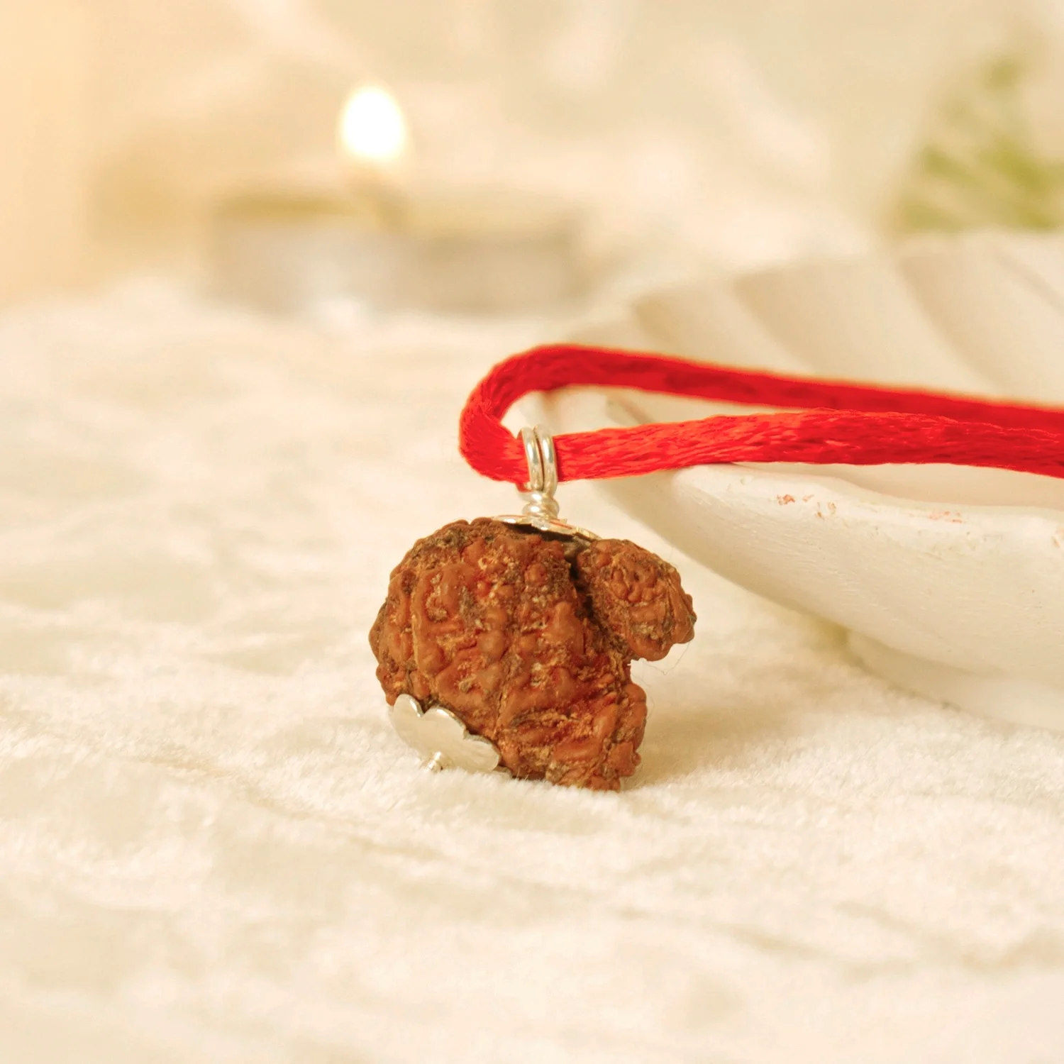 Nepal Origin Garbh Gauri Rudraksha -  17mm - 22mm - Image 4