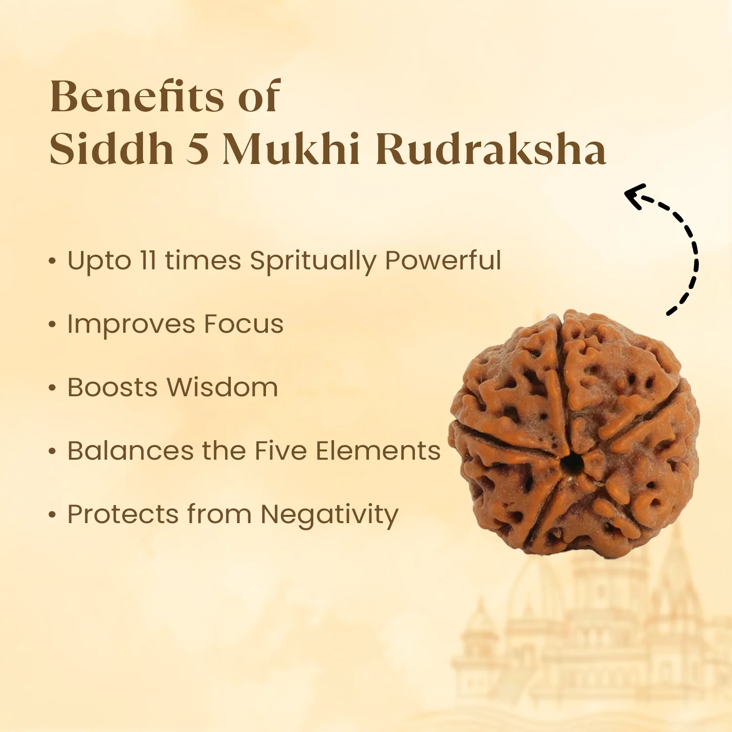 Kashi Siddh Nepal Origin 5 Mukhi Rudraksha - 17mm to 22mm - Image 3