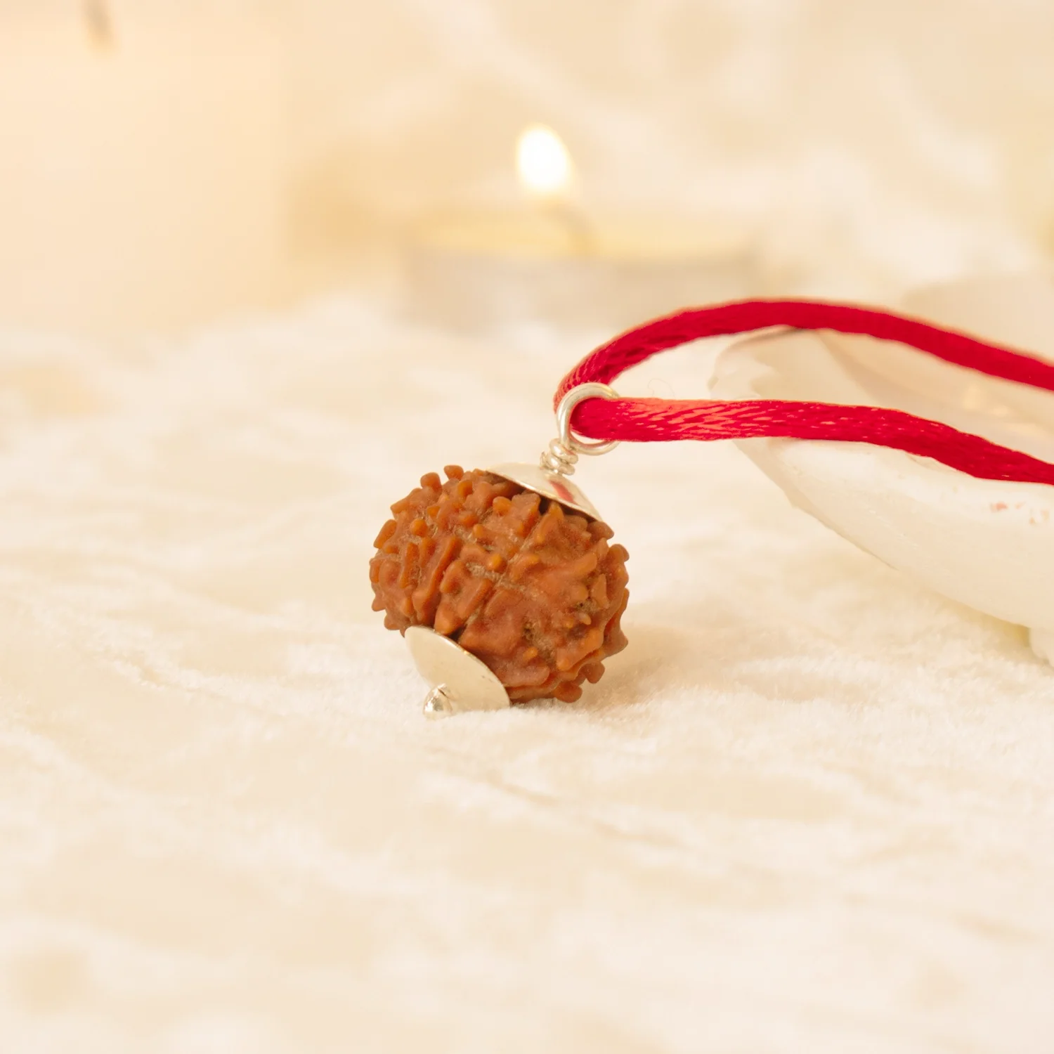Kashi Siddh Nepal Origin 5 Mukhi Rudraksha - 17mm to 22mm - Image 5
