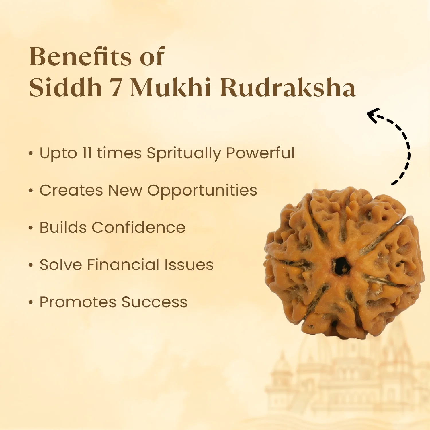 Kashi Siddh Nepal Origin 7 Mukhi Rudraksha - 17mm to 22mm - Image 4