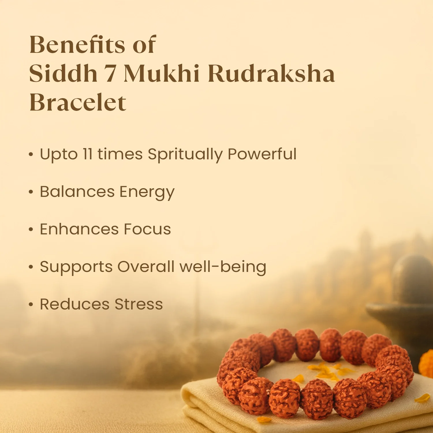 Kashi Siddh 7 Mukhi Rudraksha Bracelet - Image 3
