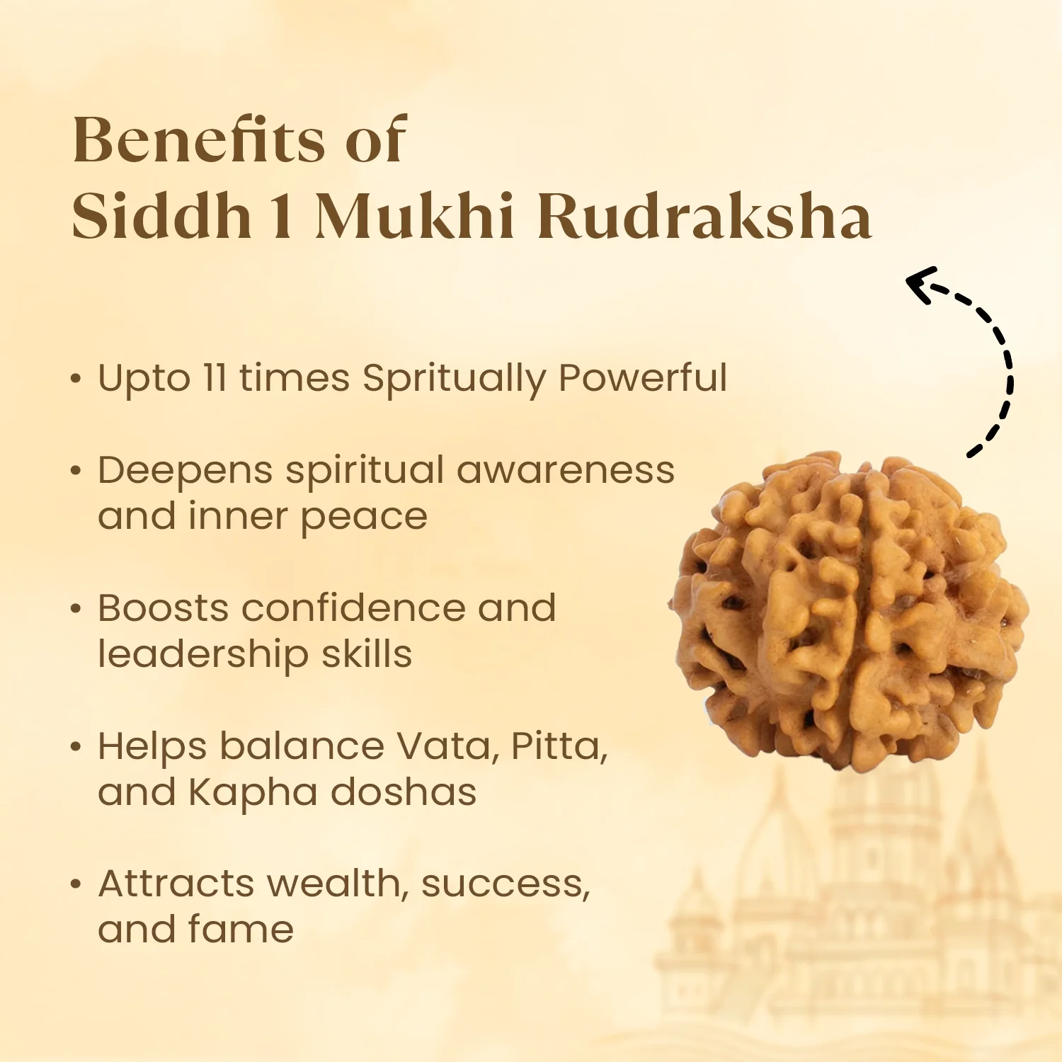 Kashi Siddh Nepal Origin 1 Mukhi Rudraksha - 17mm to 22mm (Under Developed) - Image 3