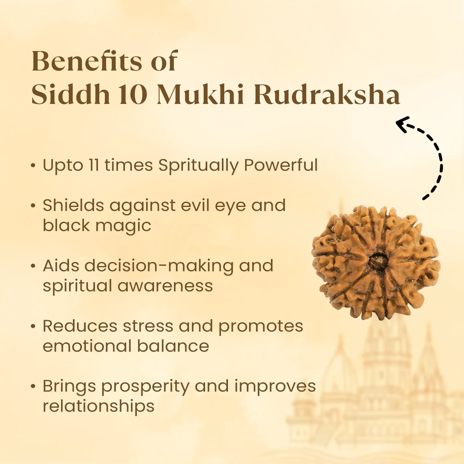 Kashi Siddh Nepal Origin 10 Mukhi Rudraksha - 17mm to 22mm - Image 3