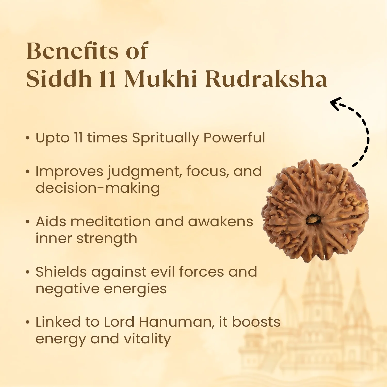 Kashi Siddh Nepal Origin 11 Mukhi Rudraksha - 17mm to 22mm - Image 3