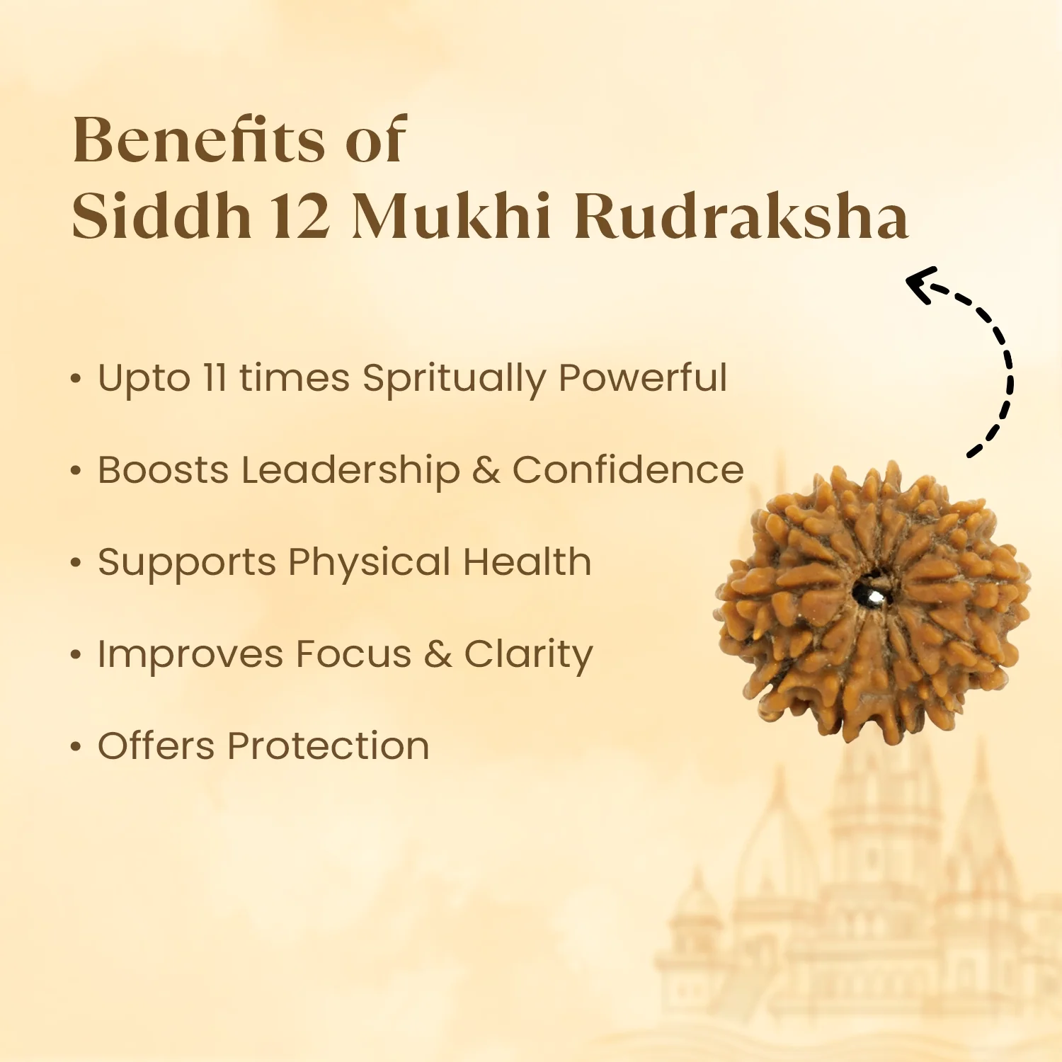 Kashi Siddh Nepal Origin 12 Mukhi Rudraksha - 17mm to 22mm - Image 3