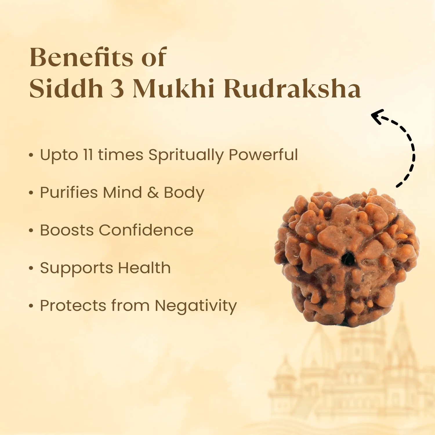 Kashi Siddh Nepal Origin 3 Mukhi Rudraksha - 17mm to 22mm - Image 3