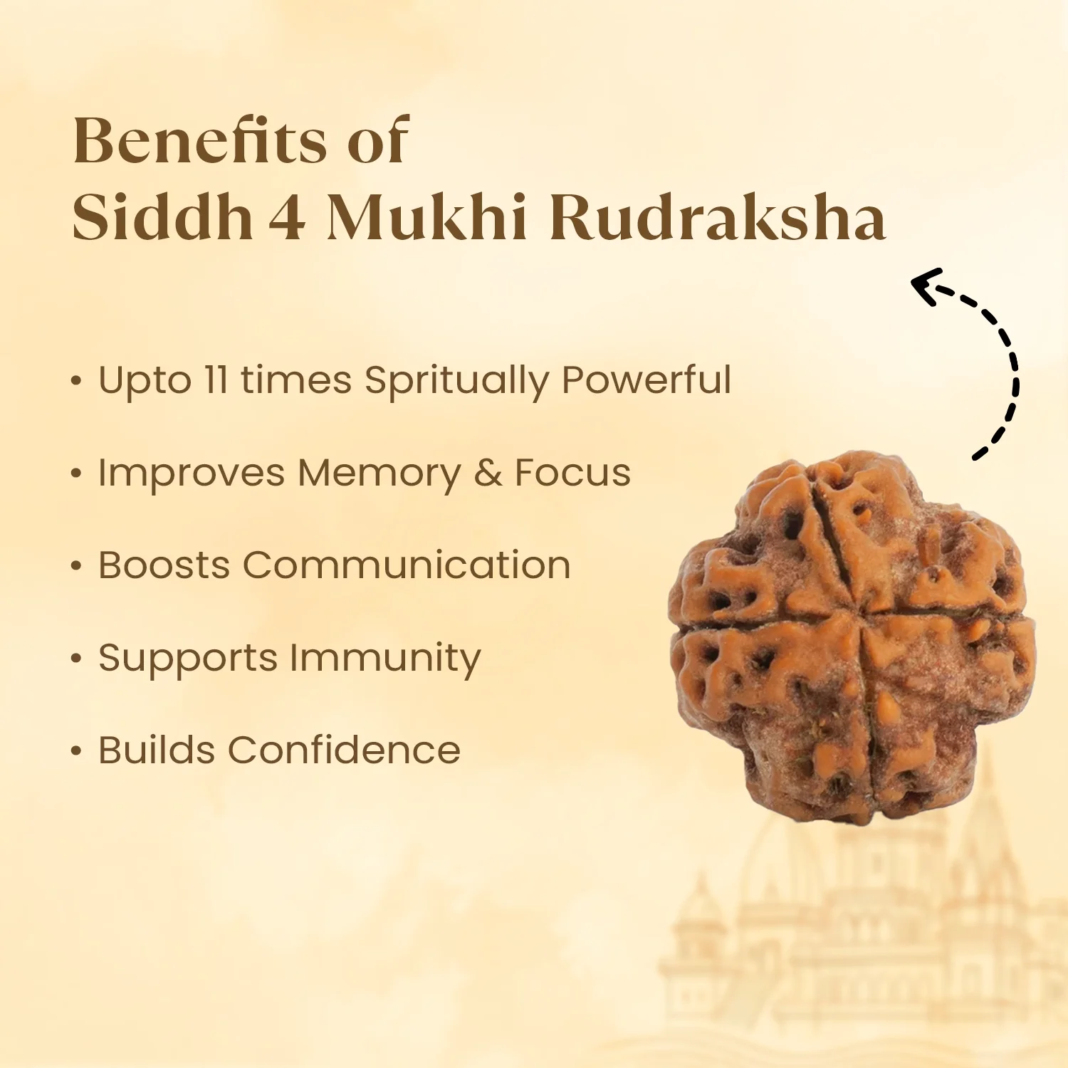 Kashi Siddh Nepal Origin 4 Mukhi Rudraksha - 17mm to 22mm - Image 3