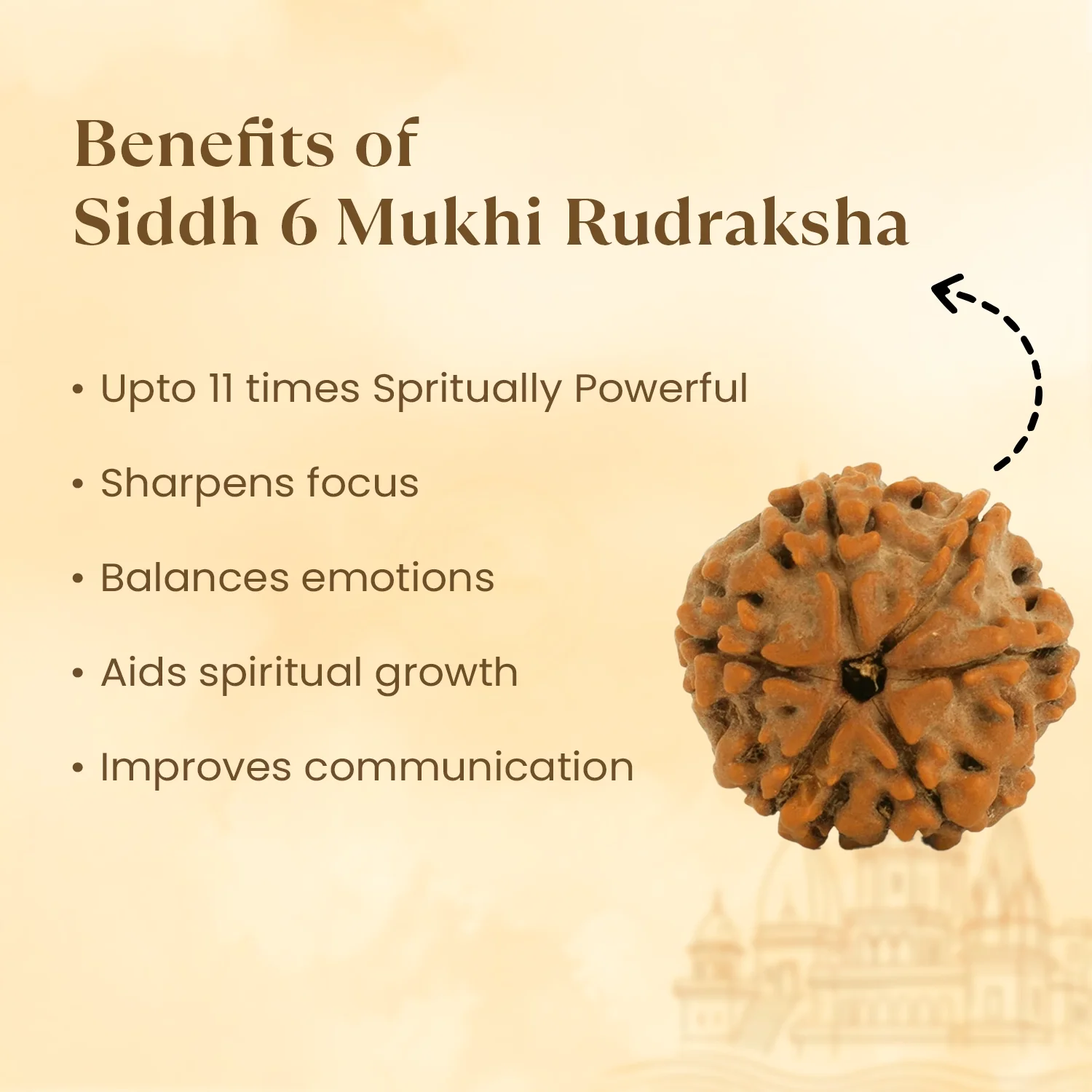 Kashi Siddh Nepal Origin 6 Mukhi Rudraksha - 17mm to 22mm - Image 3