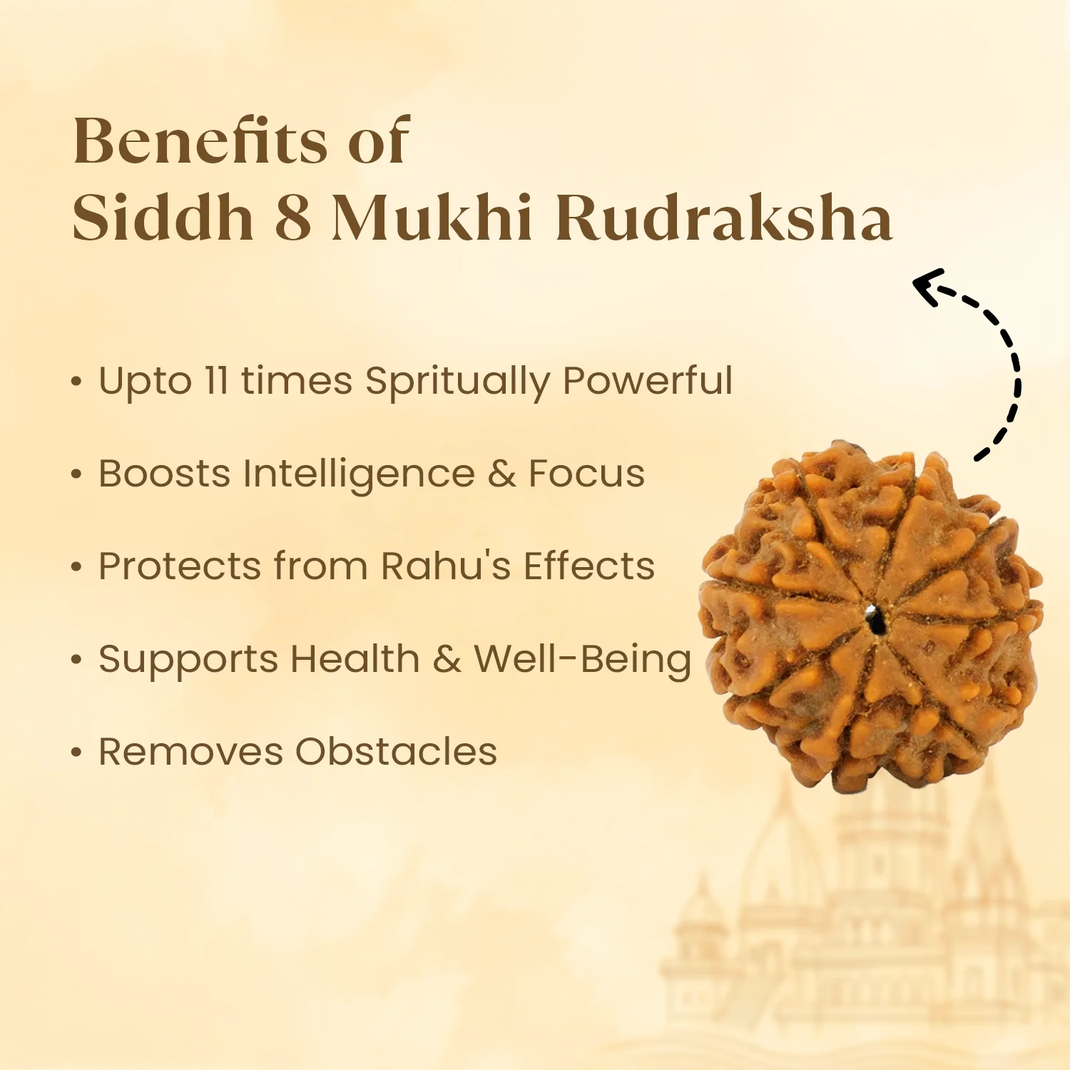 Kashi Siddh Nepal Origin 8 Mukhi Rudraksha - 17mm to 22mm - Image 3