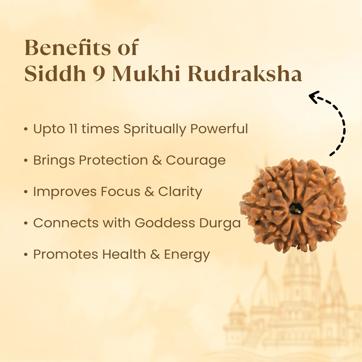 Kashi Siddh Nepal Origin 9 Mukhi Rudraksha -  17mm to 22mm - Image 3