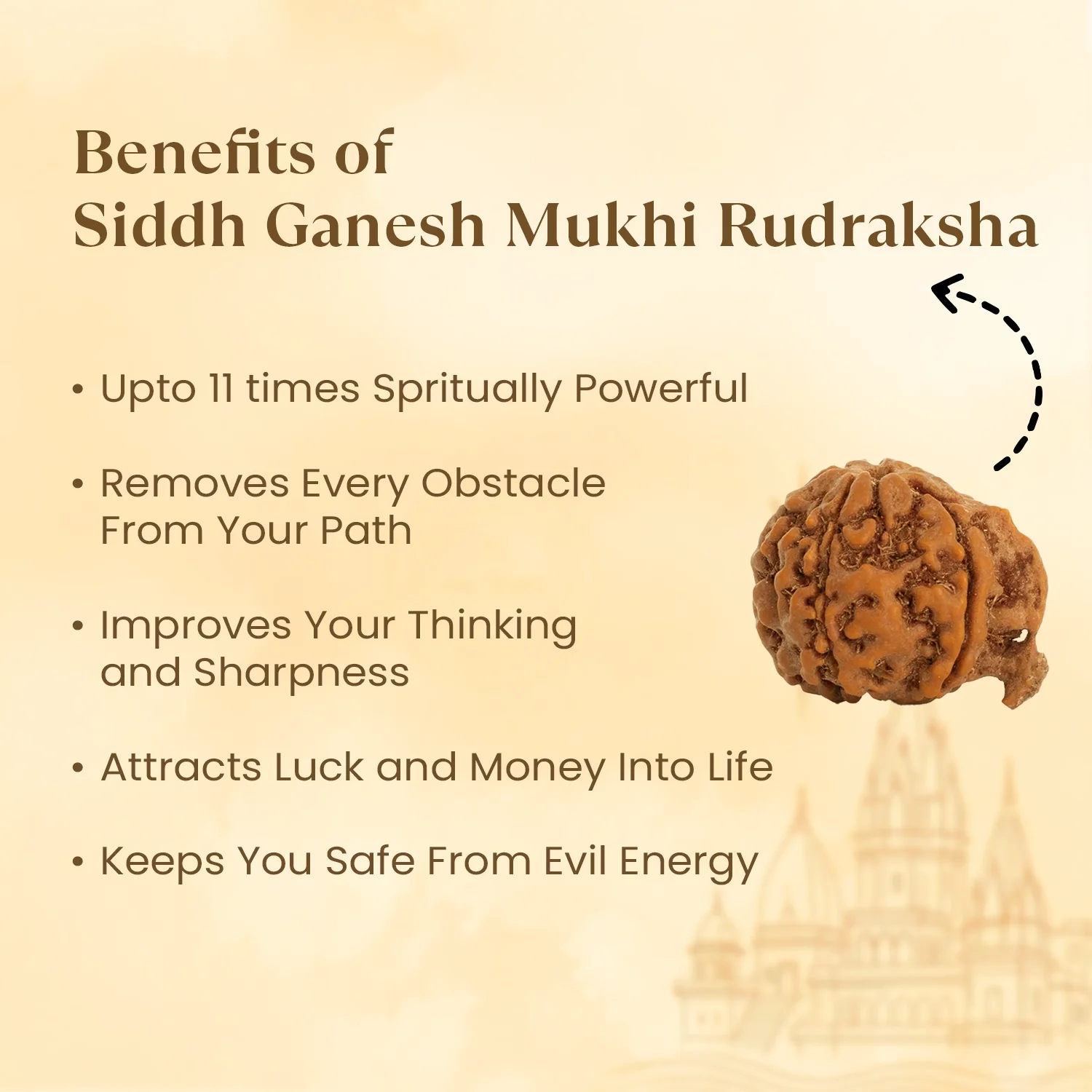 Kashi Siddh Nepal Origin Ganesh Mukhi Rudraksha - 17mm to 22mm - Image 3