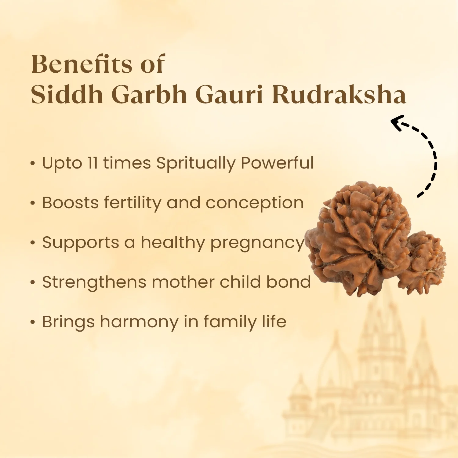 Kashi Siddh Nepal Origin Garbh Gauri Rudraksha - 17mm to 22mm - Image 3