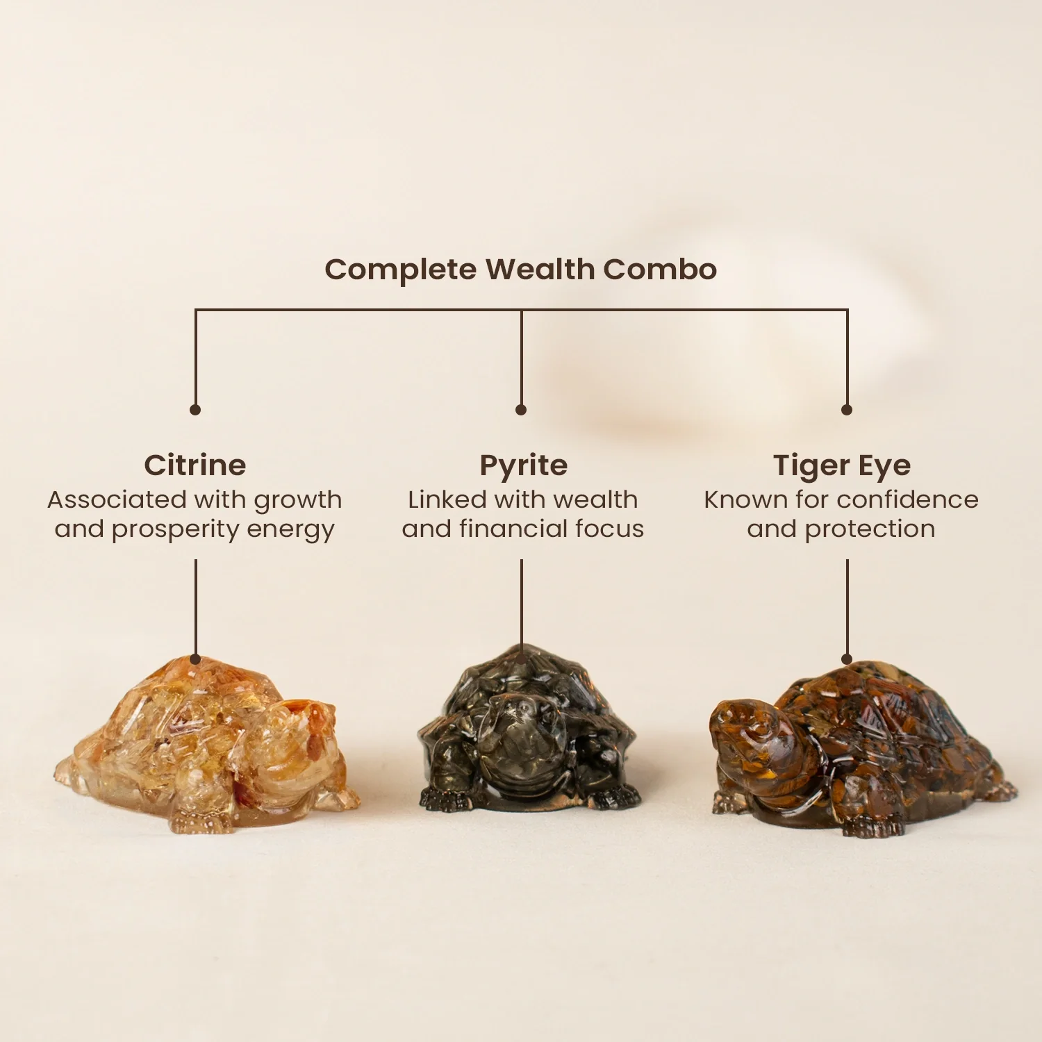 Maha Dhan Yog Tortoise Combo - Image 5