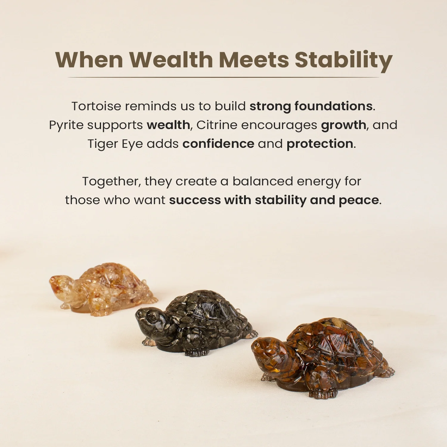Maha Dhan Yog Tortoise Combo - Image 6