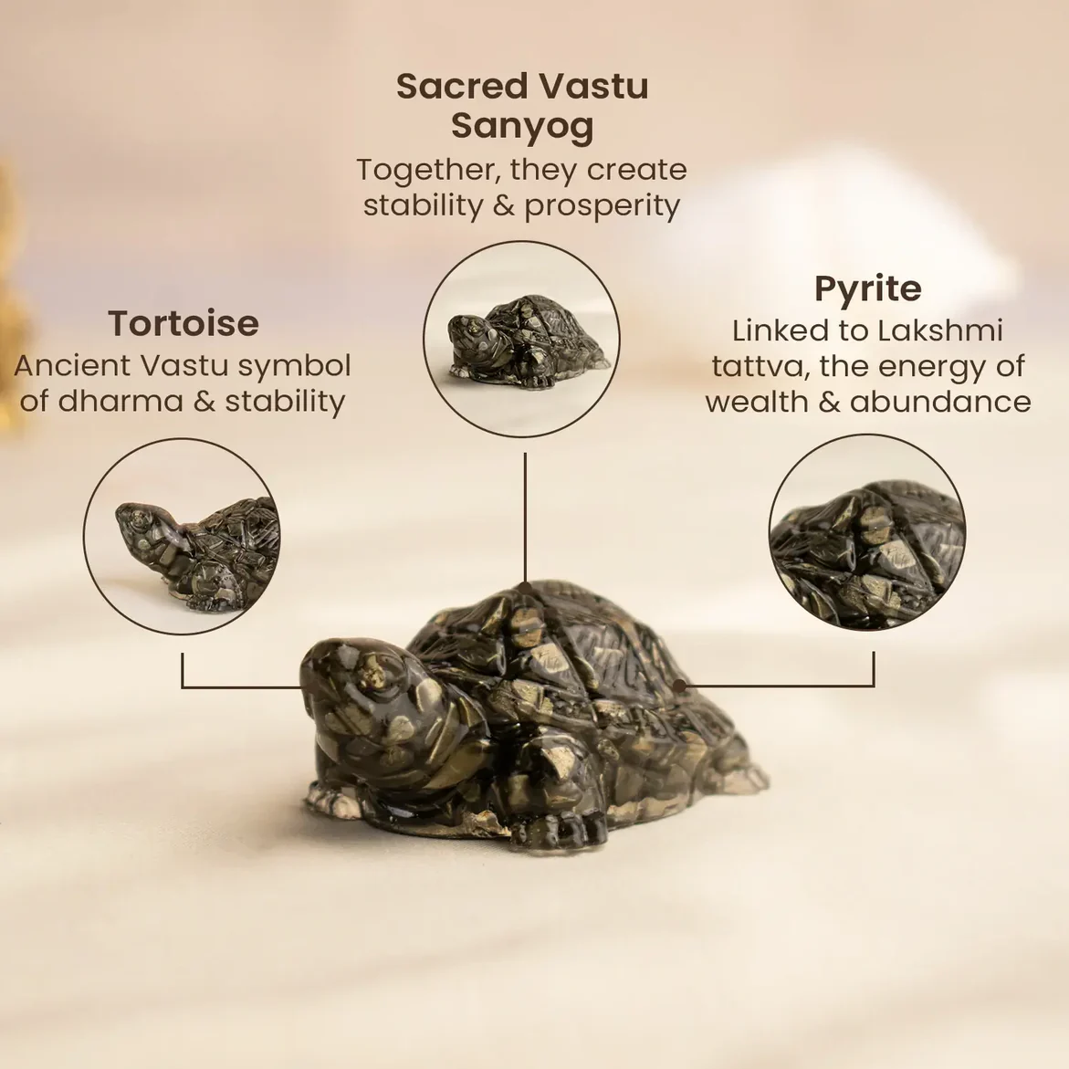 Maha Lakshmi Siddh Vastu Pyrite Tortoise (Kachhua) - Image 5