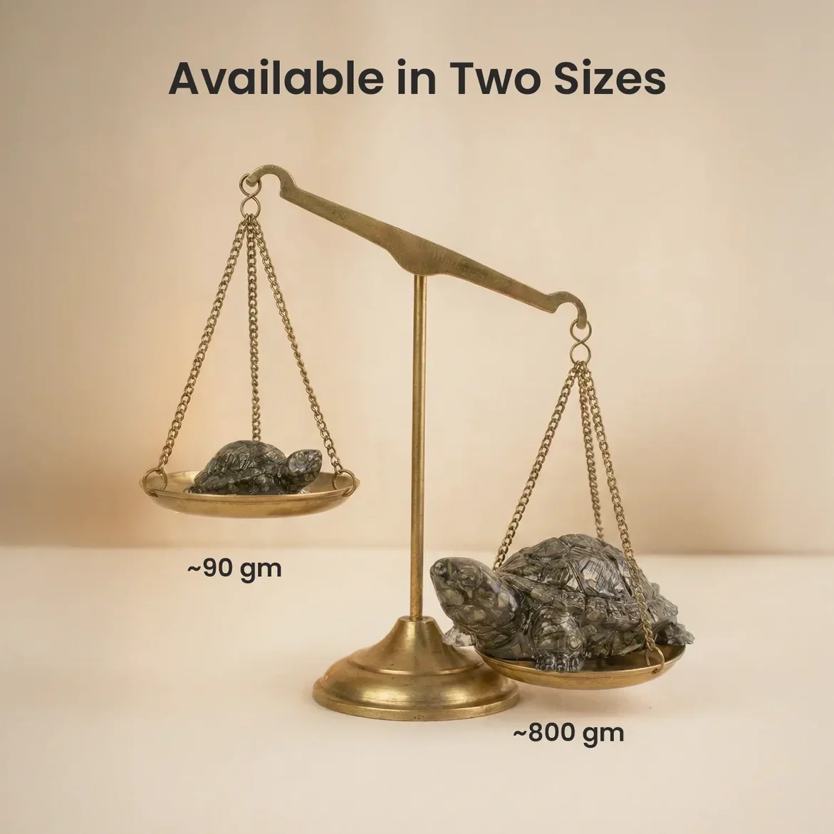 Maha Lakshmi Siddh Vastu Pyrite Tortoise (Kachhua) - Image 9