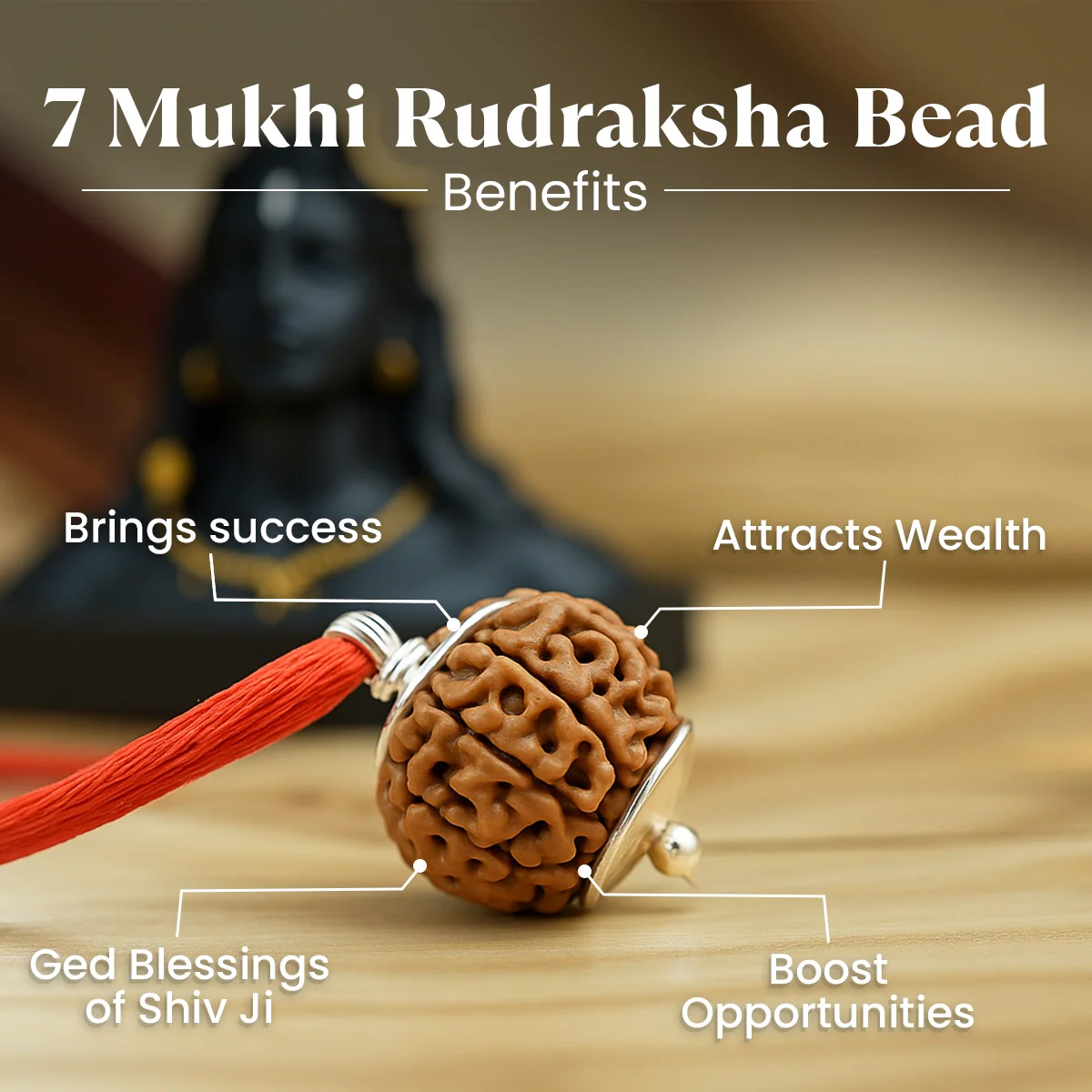Maha Lakshmi Kripa Combo with 7 Mukhi Rudraksha - Image 3