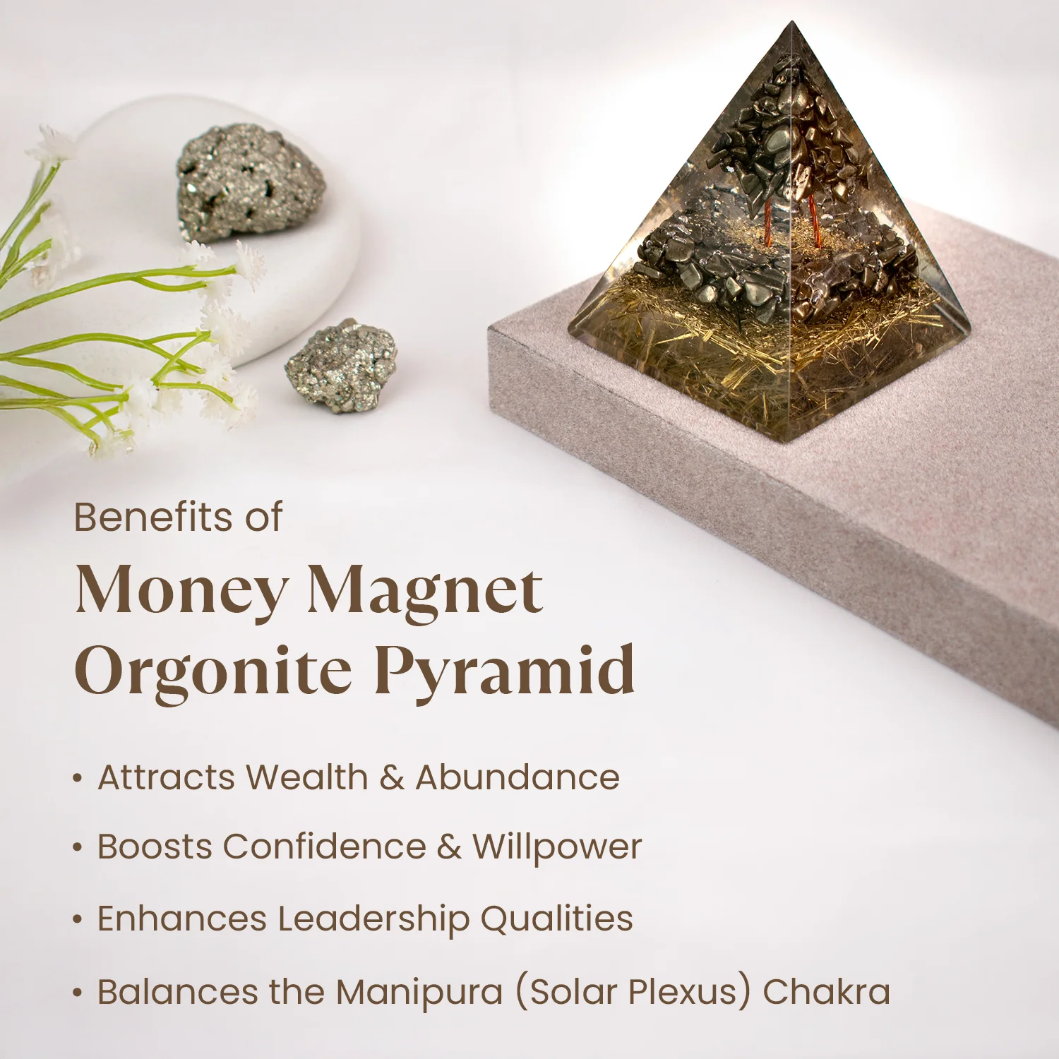Money Magnet Combo - Image 3