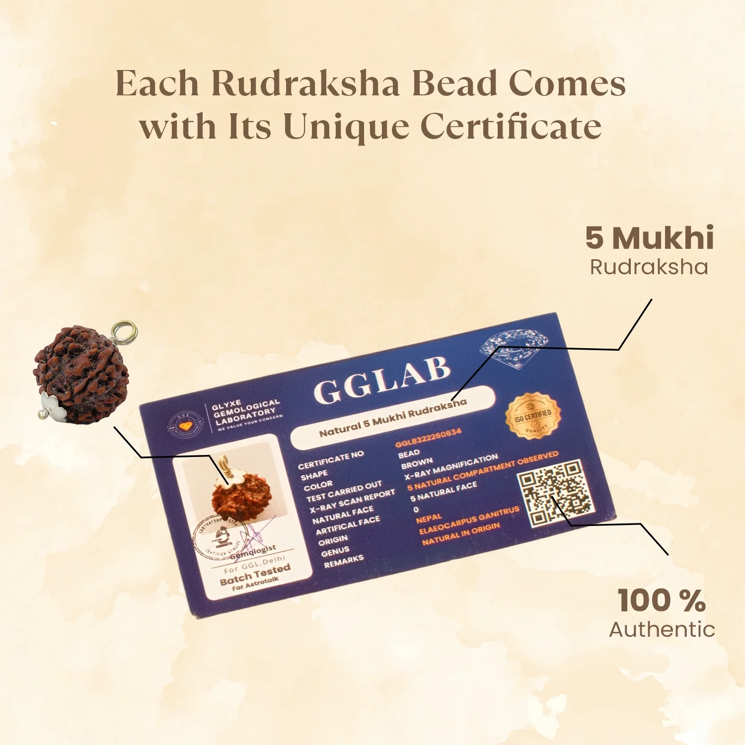 Nepal Origin 5 Mukhi Rudraksha - 17mm to 22mm - Image 3