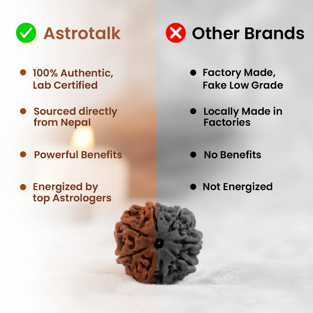 Nepal Origin 5 Mukhi Rudraksha Bead - Image 4