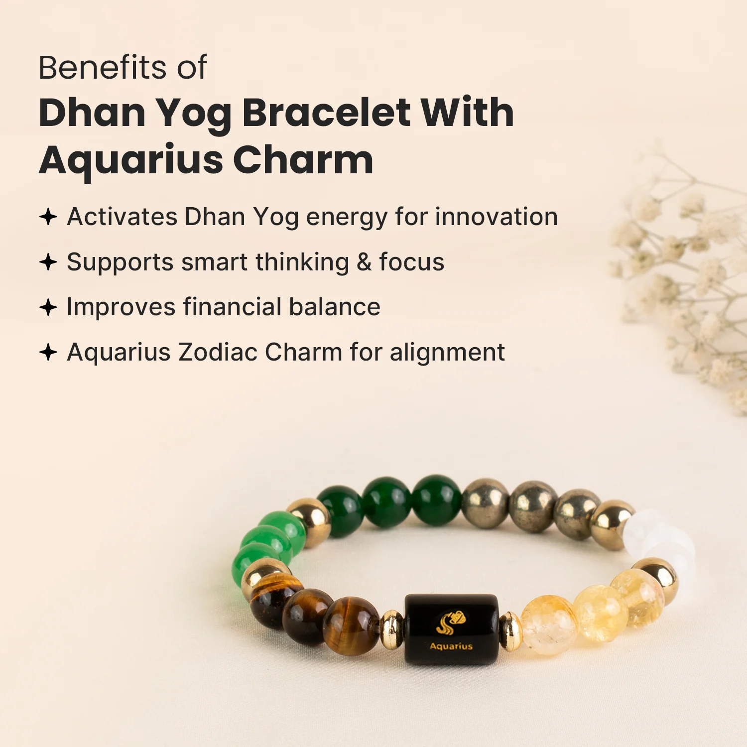 Rinmukteshwar Siddh Dhan Yog Bracelet with Zodiac Charm - Image 68