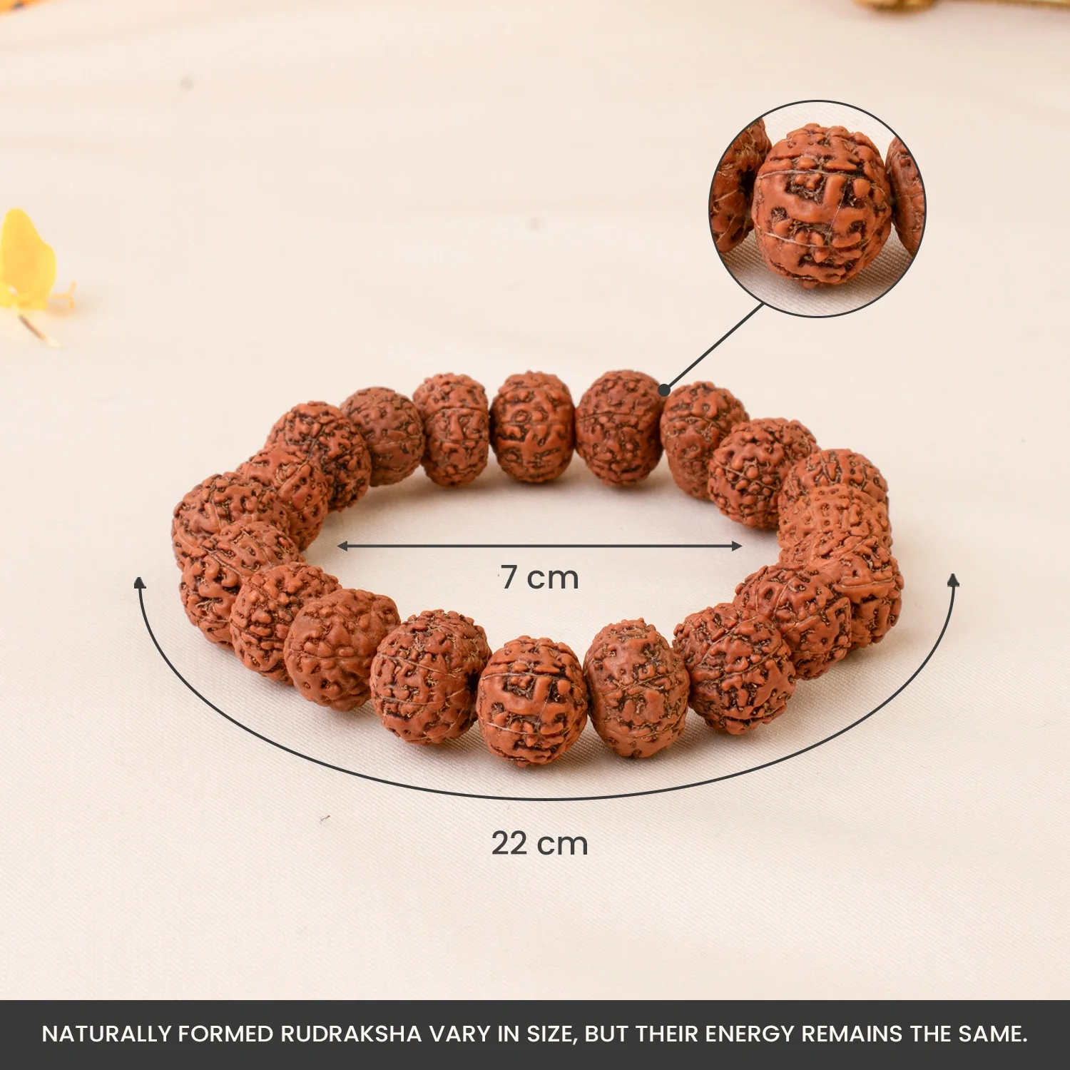 7 Mukhi Rudraksha Bracelet - Image 8