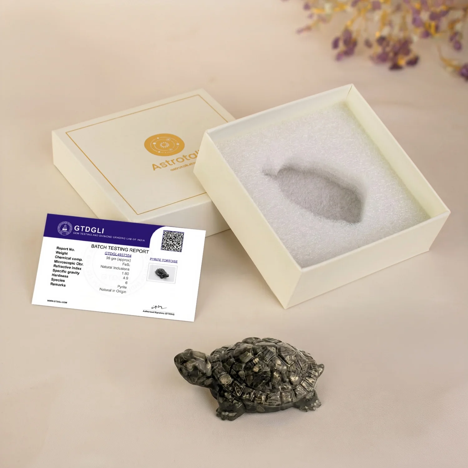 Rinmukteshwar Siddh Pyrite Tortoise - Image 13