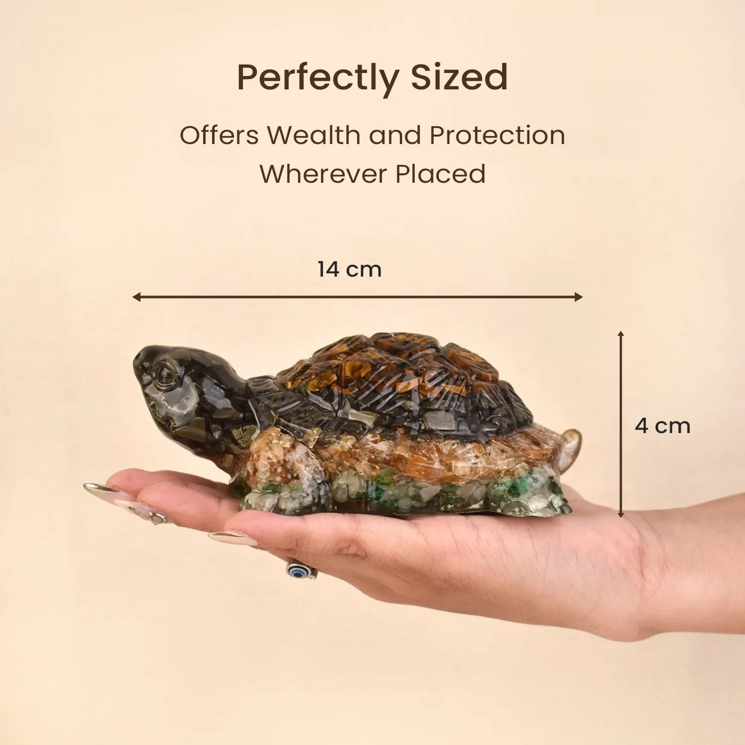 Collector’s Edition Vastu Dhan Yog Tortoise (Big size) - Image 8
