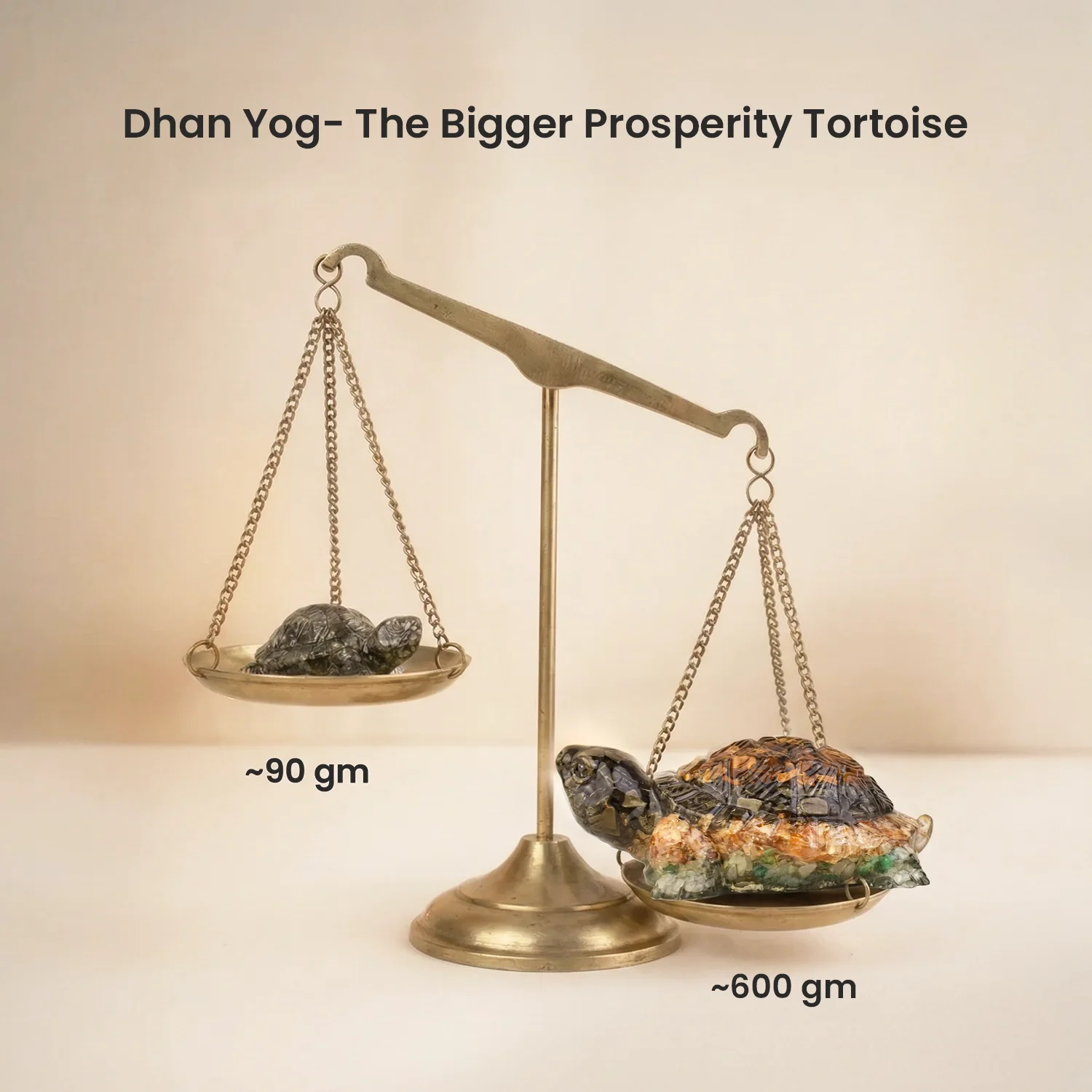Collector’s Edition Vastu Dhan Yog Tortoise (Big size) - Image 10