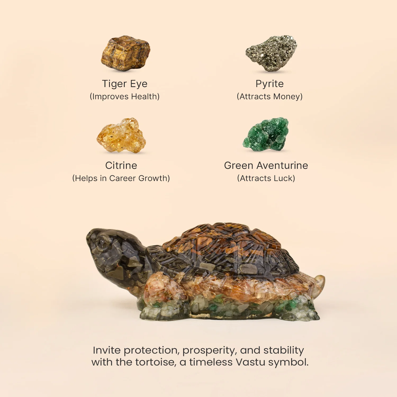 Collector’s Edition Vastu Dhan Yog Tortoise (Big size) - Image 5
